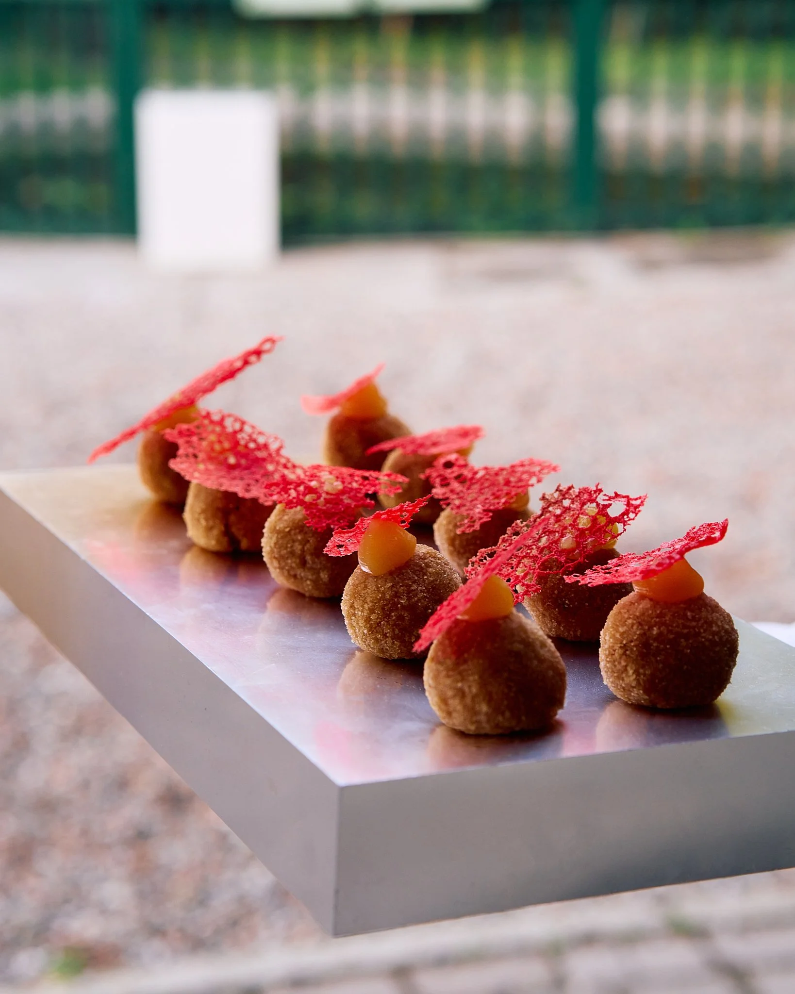 ZB_Coccinelle 17.jpg