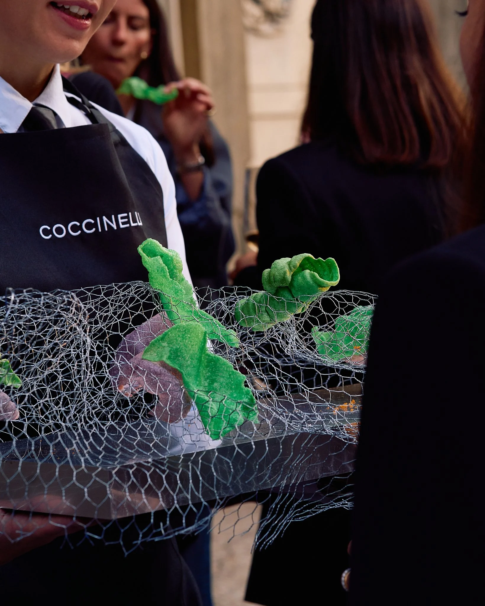 ZB_Coccinelle 22.jpg