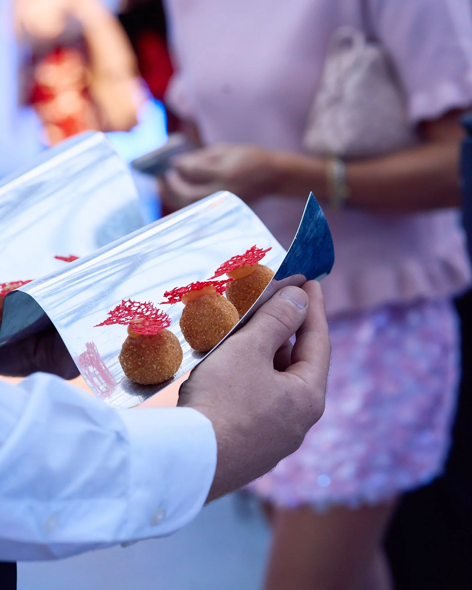 ZB_Coccinelle 33.jpg