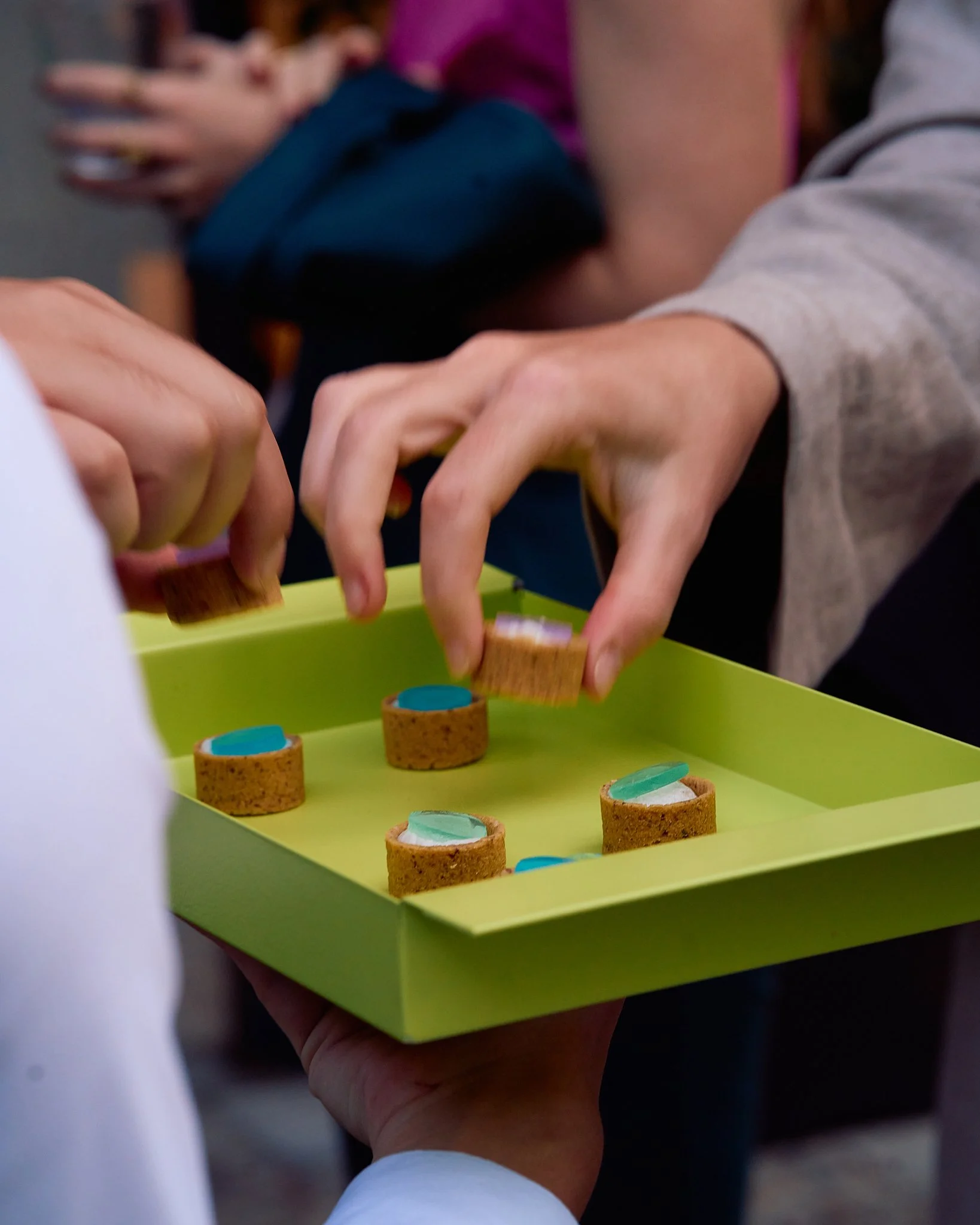 ZB_Coccinelle 25.jpg