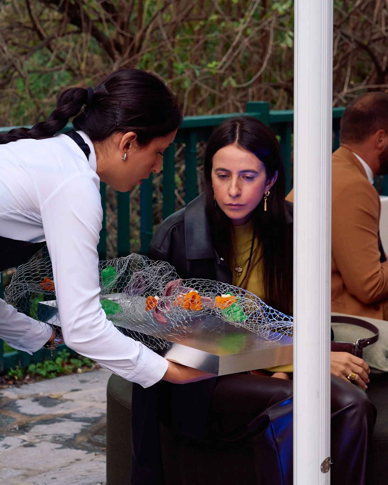 ZB_Coccinelle 28.jpg