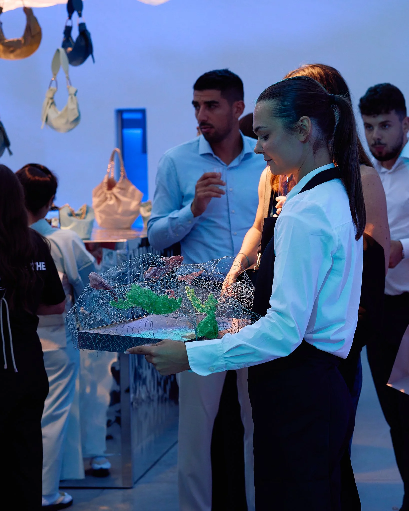 ZB_Coccinelle 35.jpg