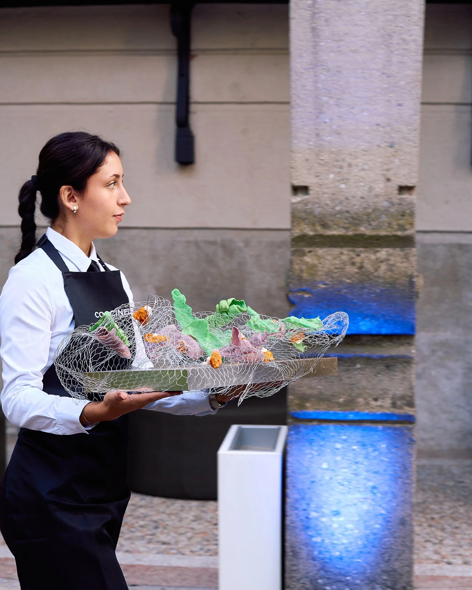 ZB_Coccinelle 14.jpg