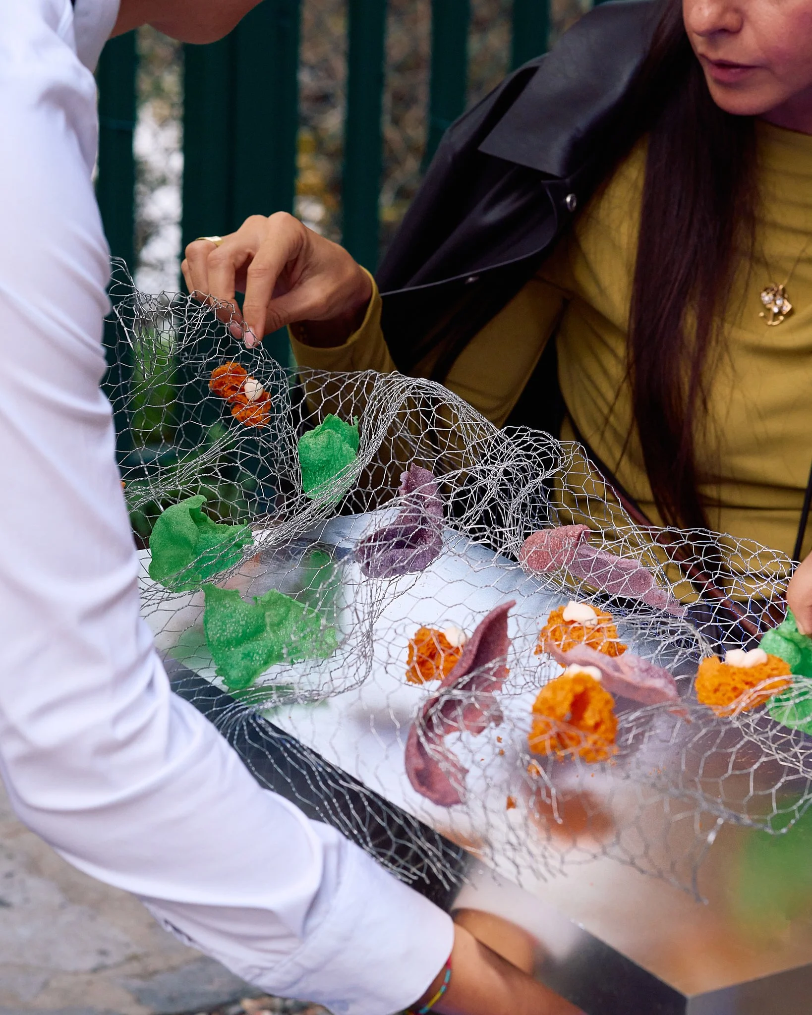 ZB_Coccinelle 29.jpg