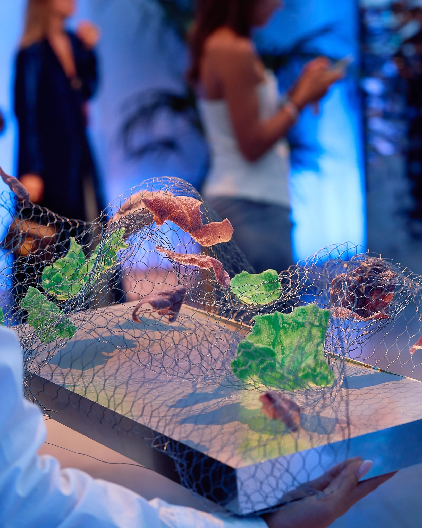 ZB_Coccinelle 32.jpg