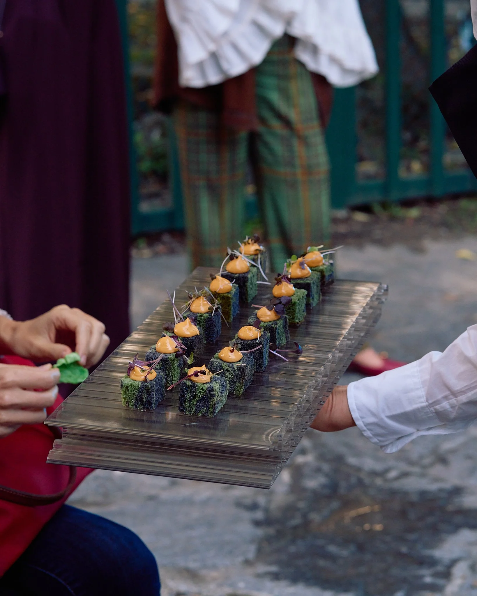 ZB_Coccinelle 24.jpg