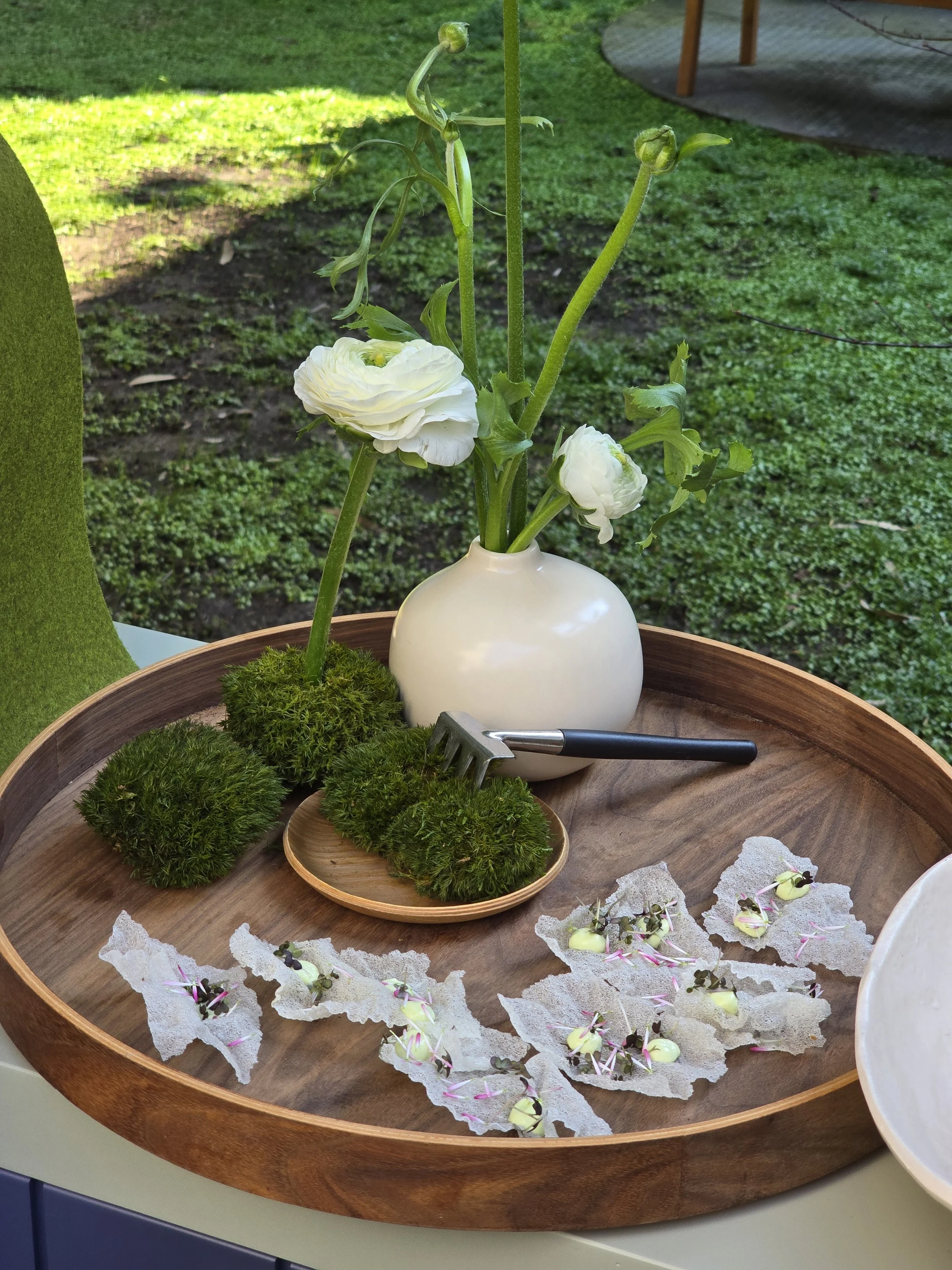 20260224_Coccinelle_12_Chips Giardino.jpg