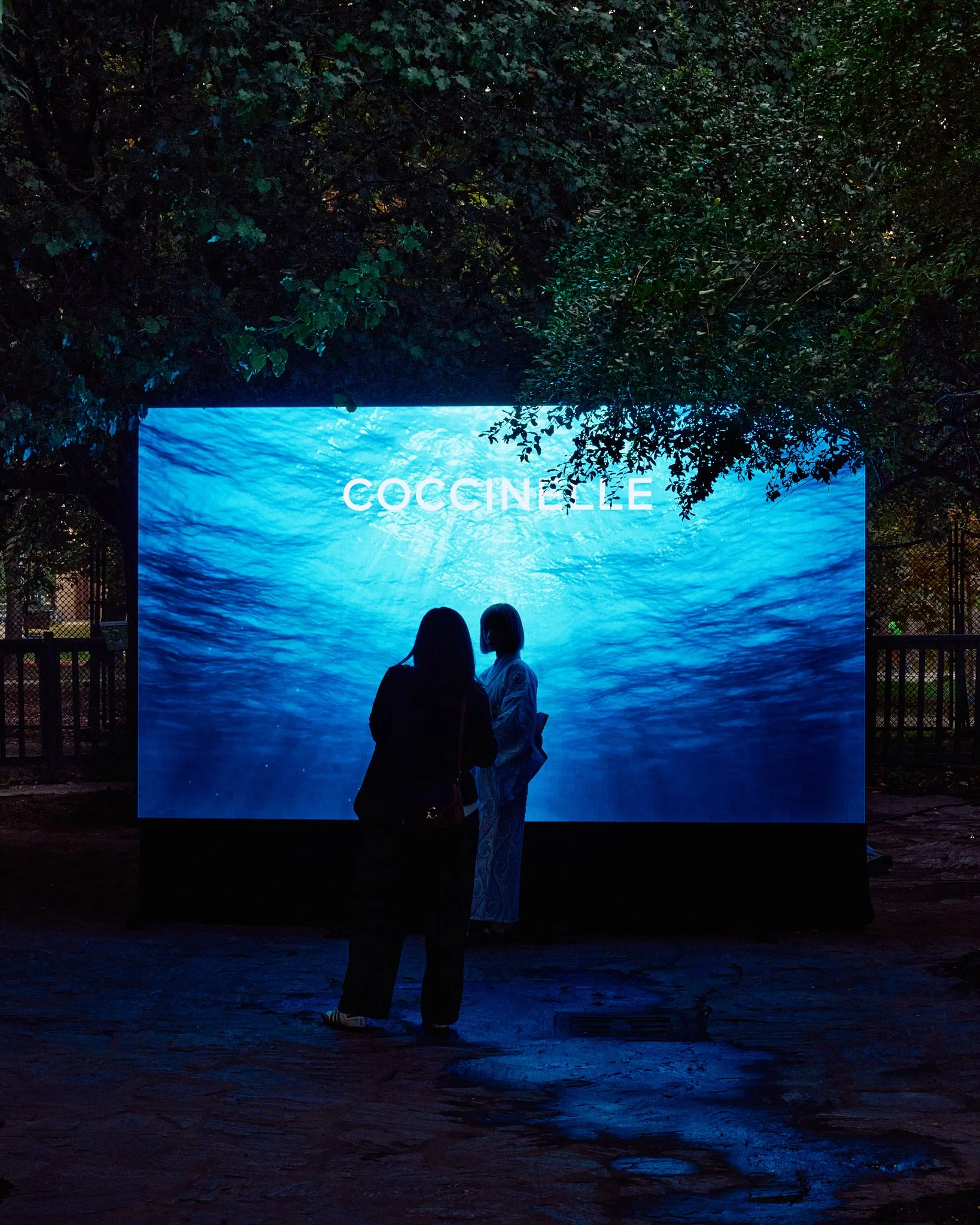 ZB_Coccinelle 10.jpg