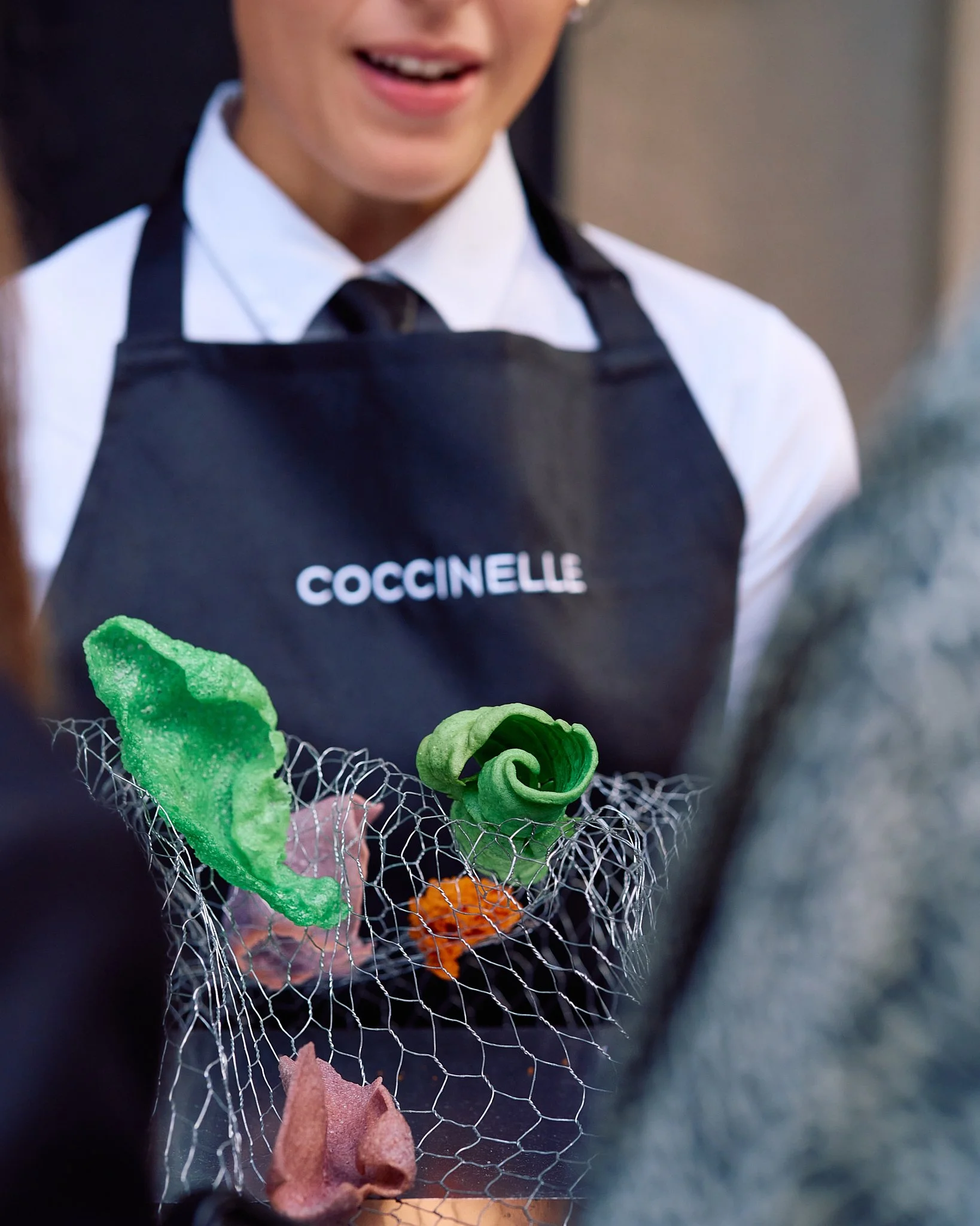 ZB_Coccinelle 20.jpg