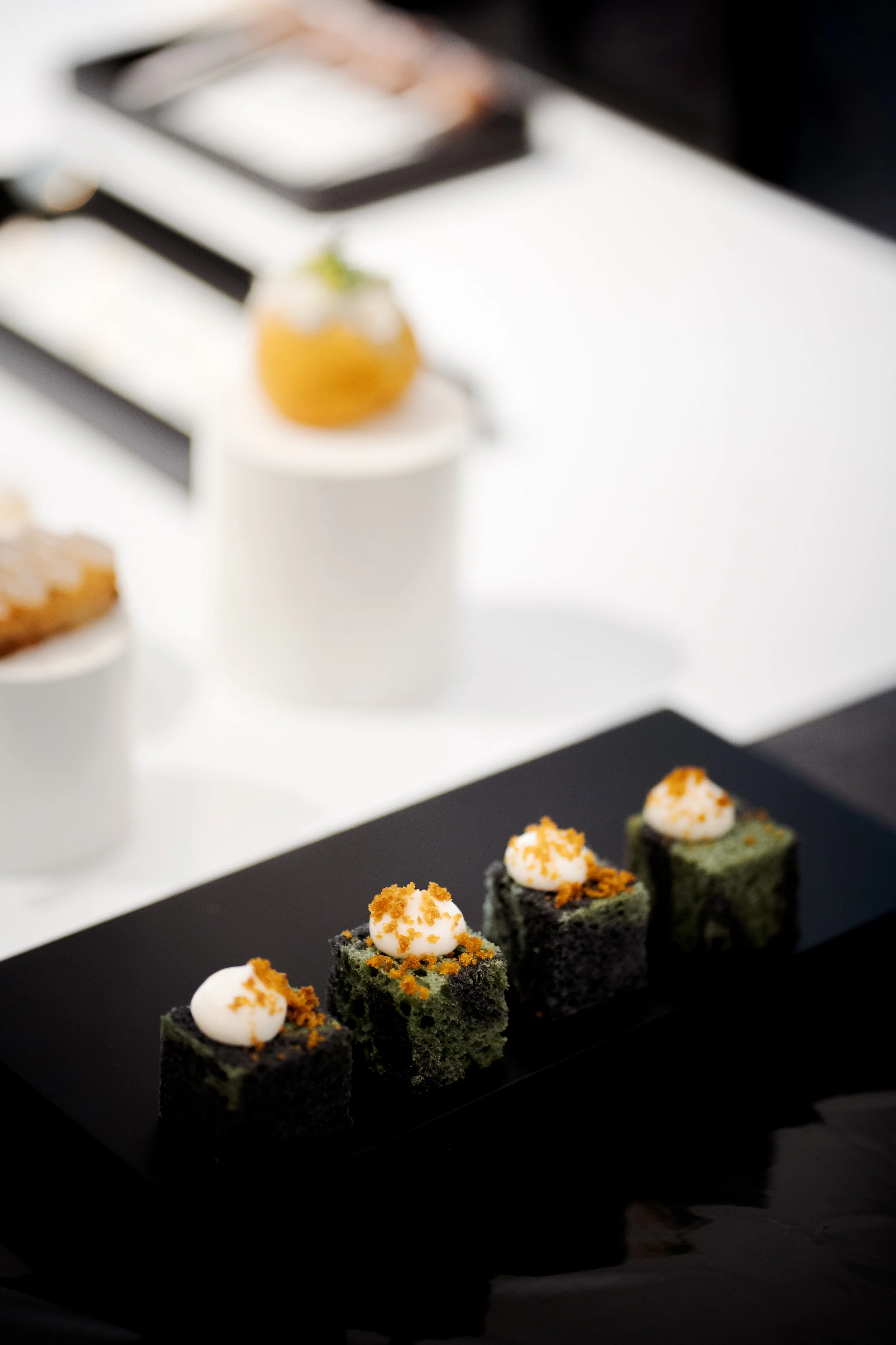 VISITA GUIDATA_FONDAZIONE MARCELLO MORANDINI_131_PaneCamouflage.jpg