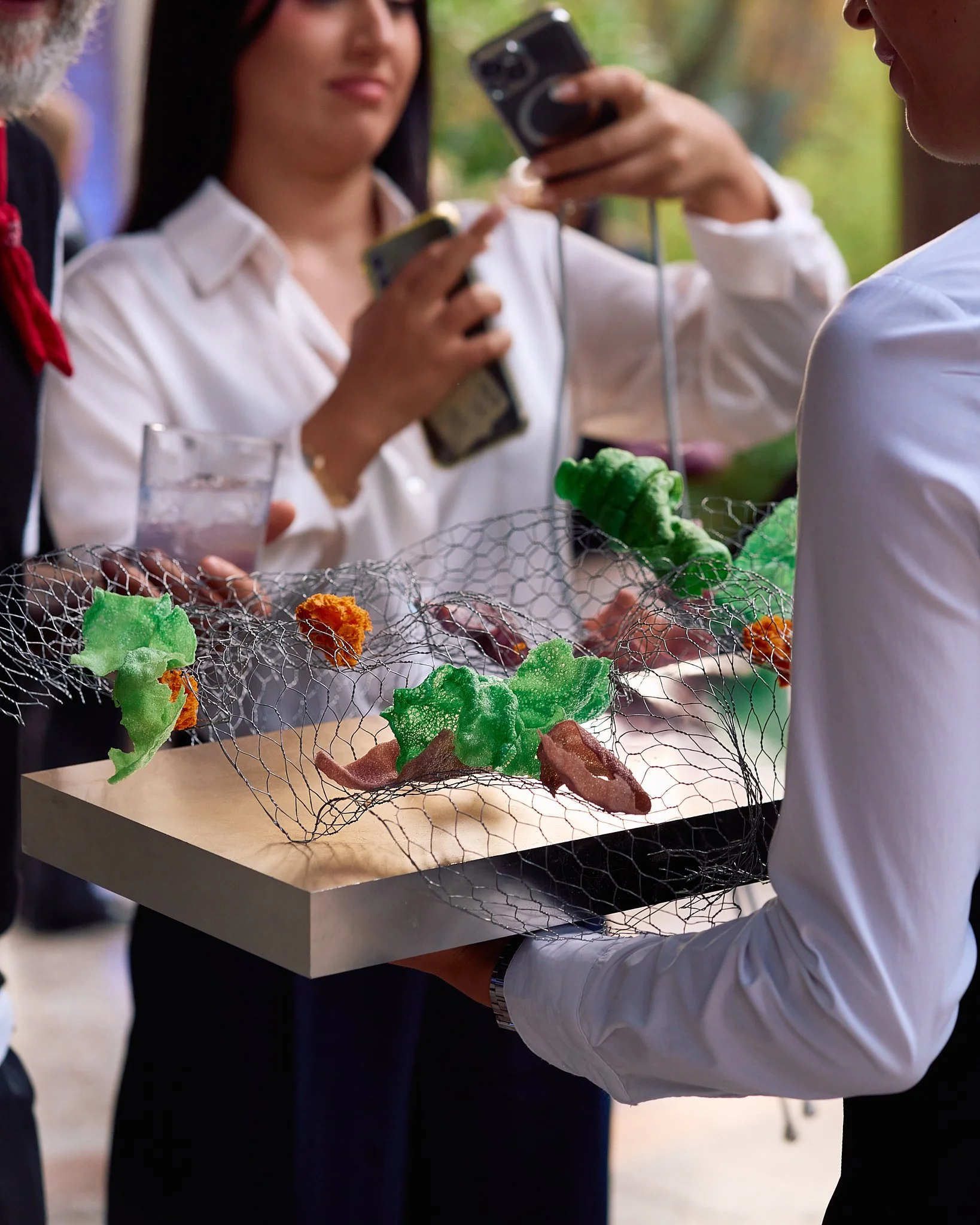 ZB_Coccinelle 18.jpg