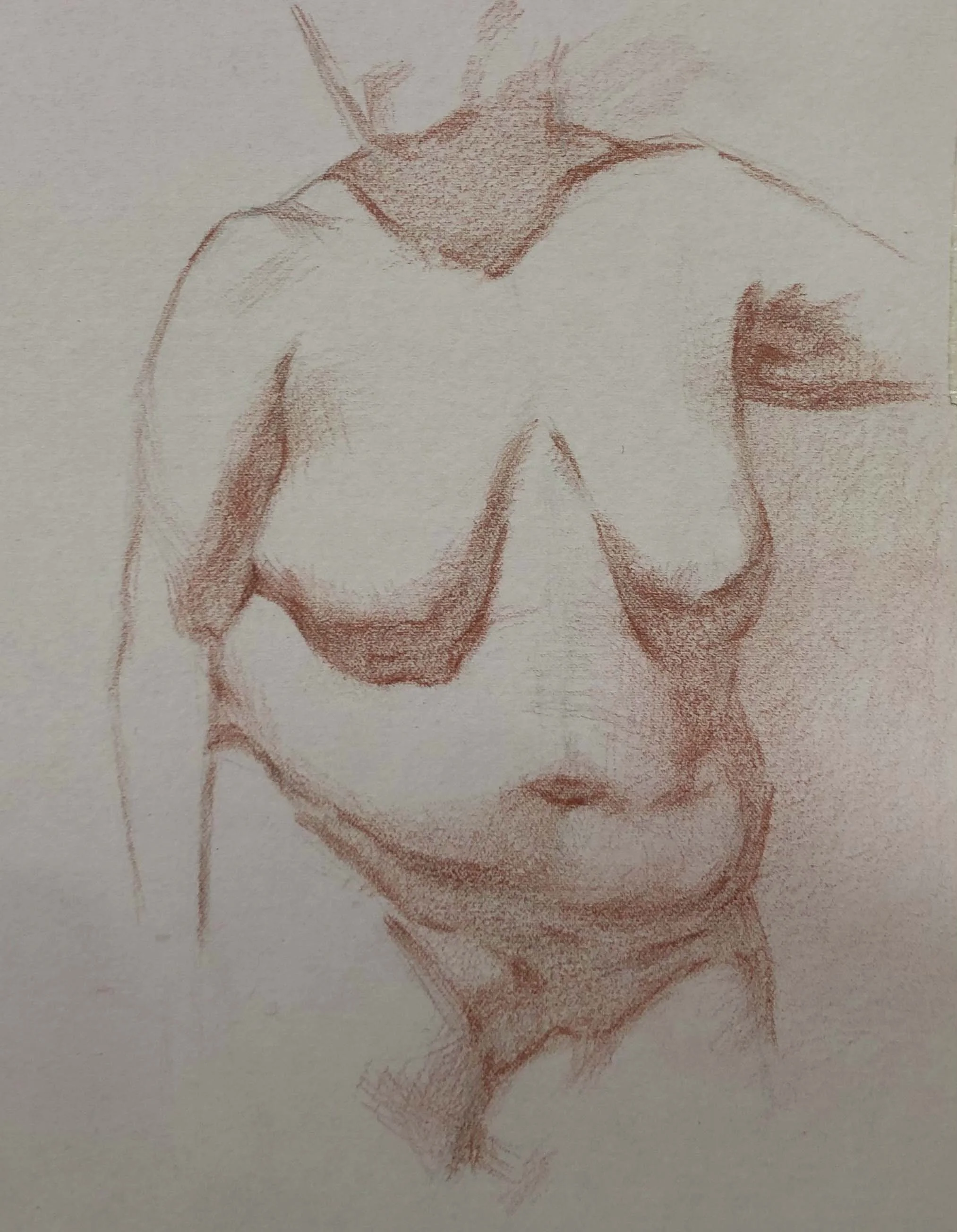 Torso study in Sanguine, sanguine on hand-toned paper, 10x20cm, 2025 
