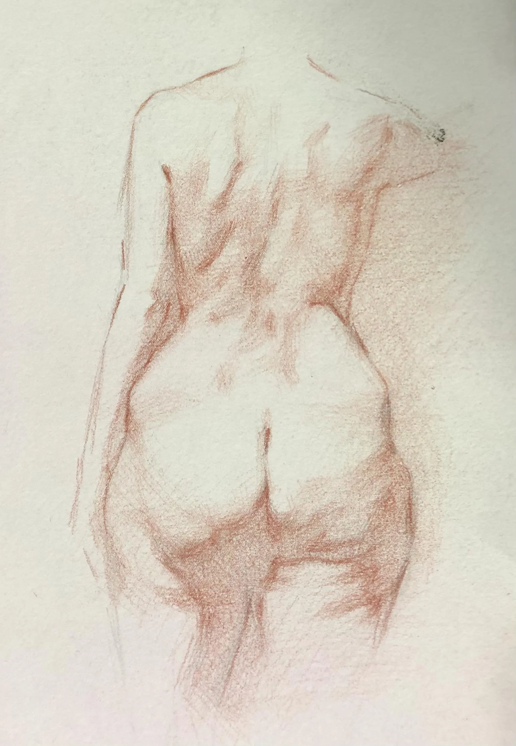 Back study in Sanguine, sanguine on hand-toned paper, 10x20cm, 2025