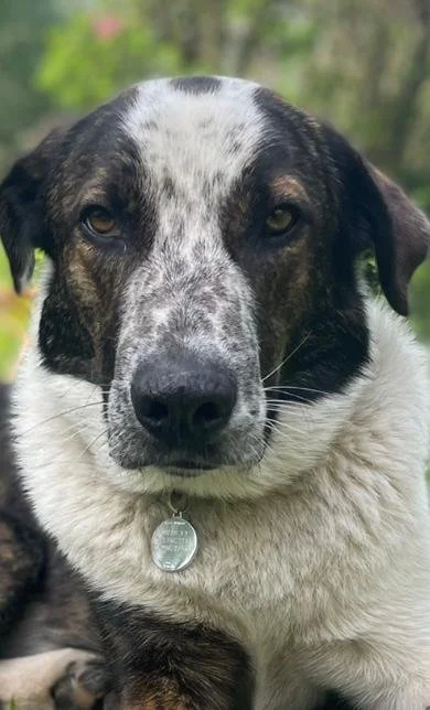 WhatsApp Image 2025-10-21 at 12.19.41.jpeg