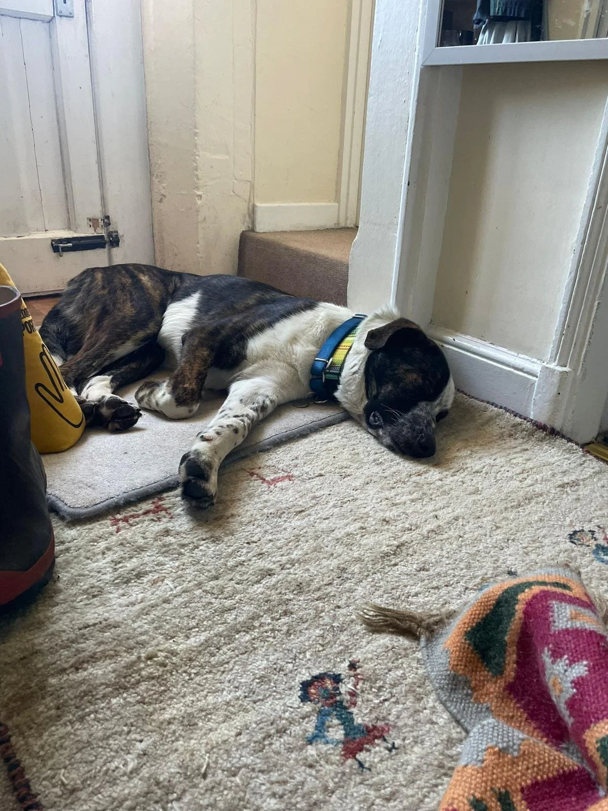 WhatsApp Image 2025-10-21 at 17.05.51.jpeg