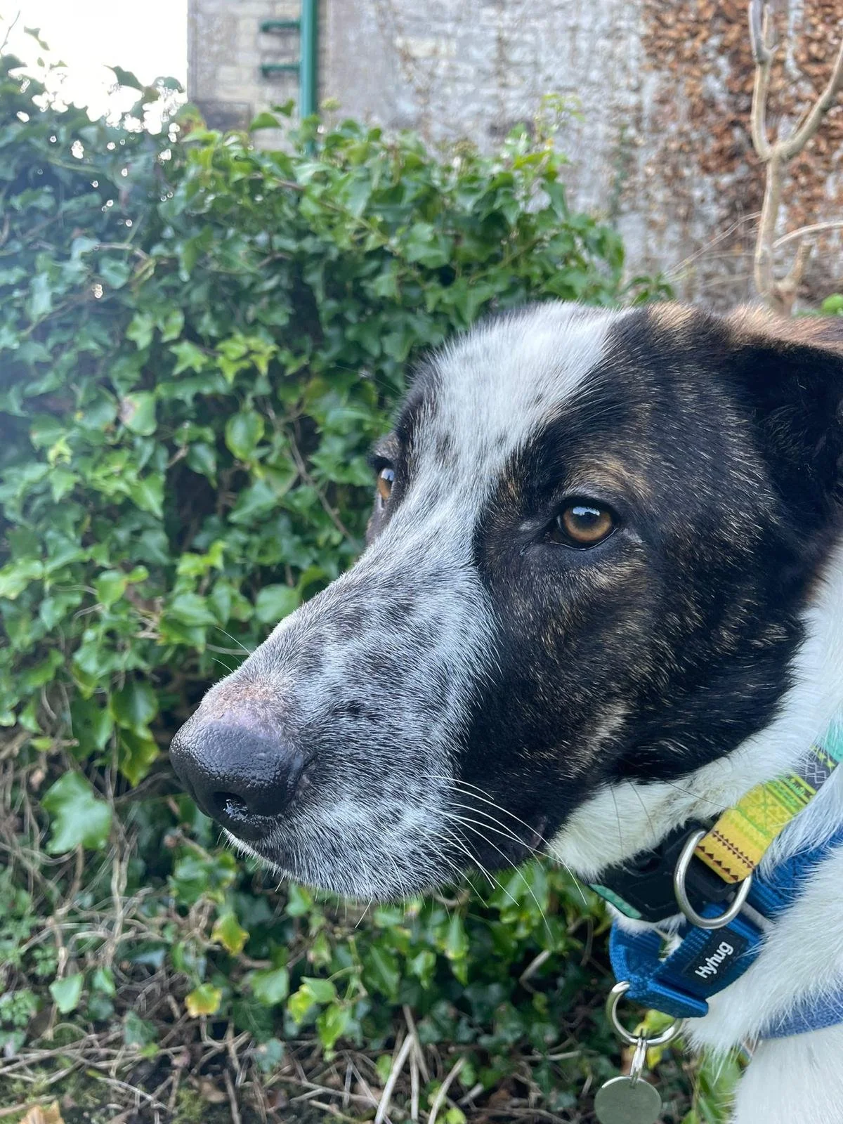 WhatsApp Image 2025-10-21 at 17.05.50.jpeg