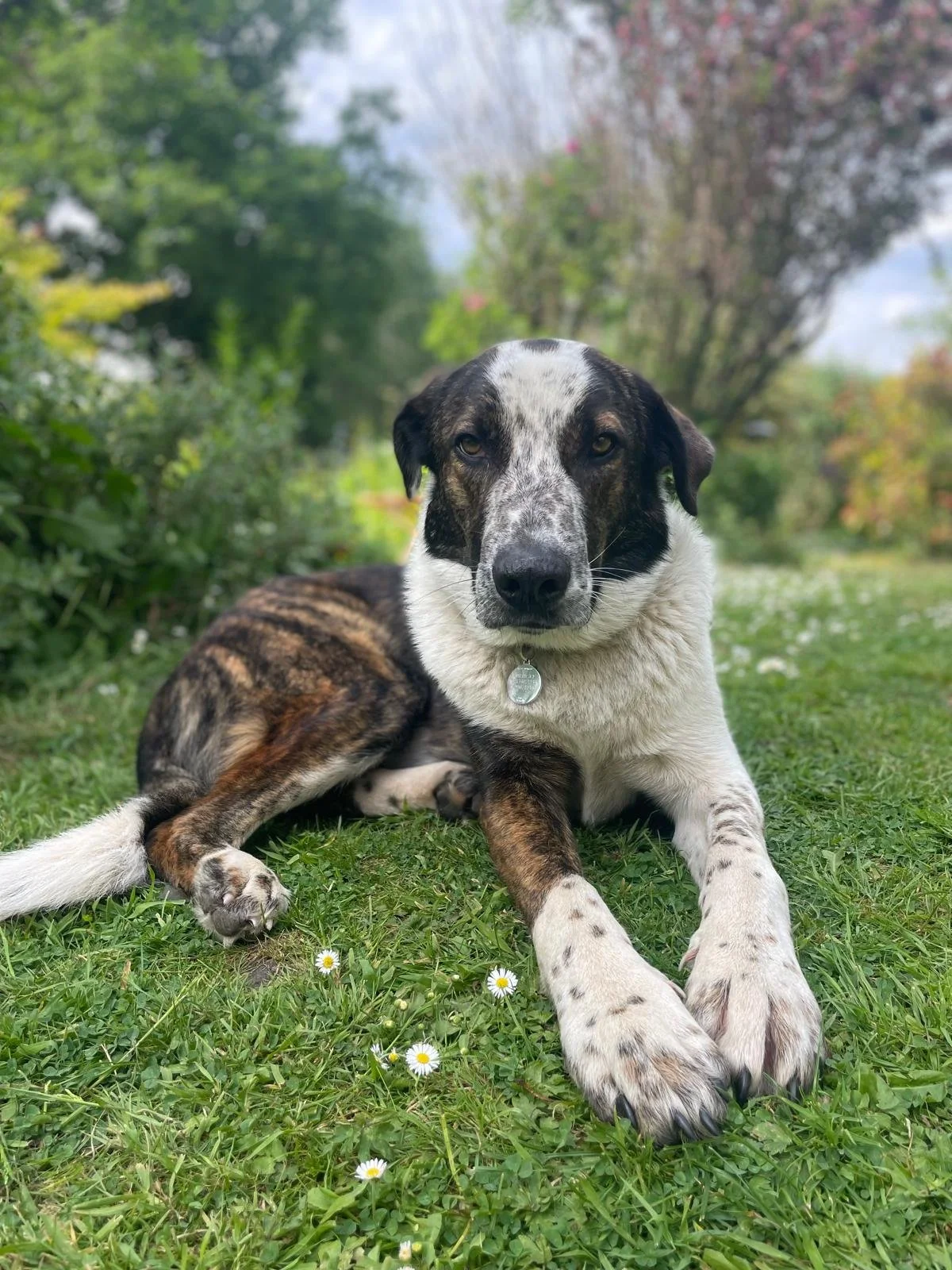 WhatsApp Image 2025-10-21 at 12.20.05.jpeg