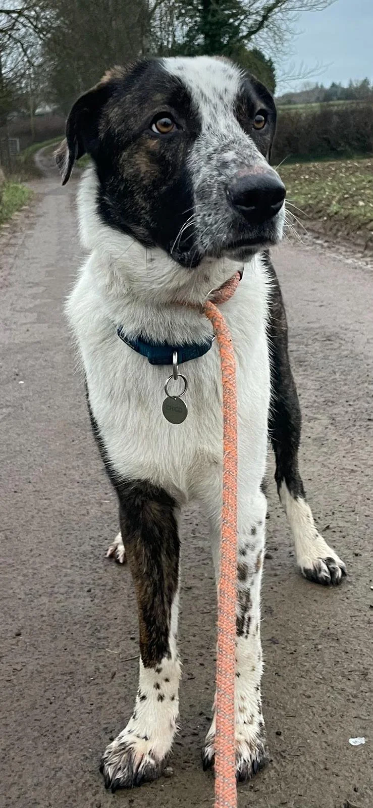 WhatsApp Image 2025-10-21 at 17.05.52.jpeg