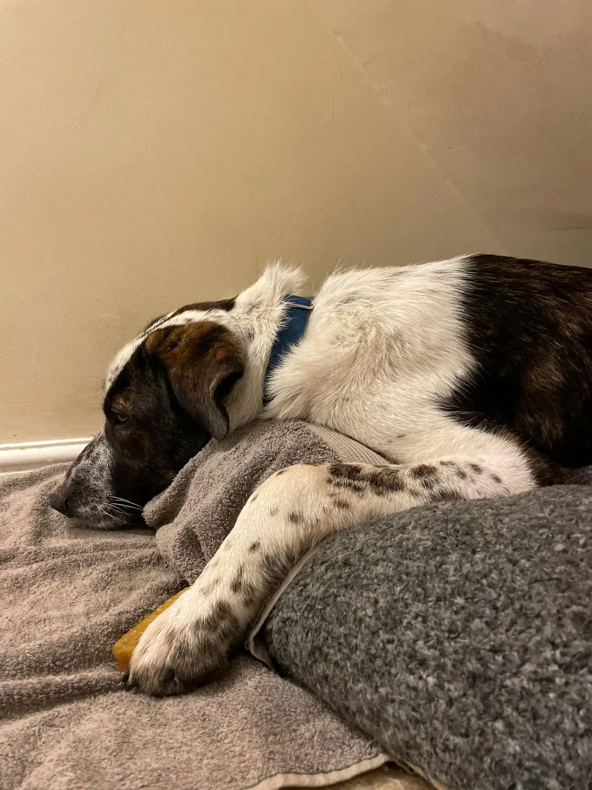 WhatsApp Image 2025-10-21 at 17.05.53.jpeg