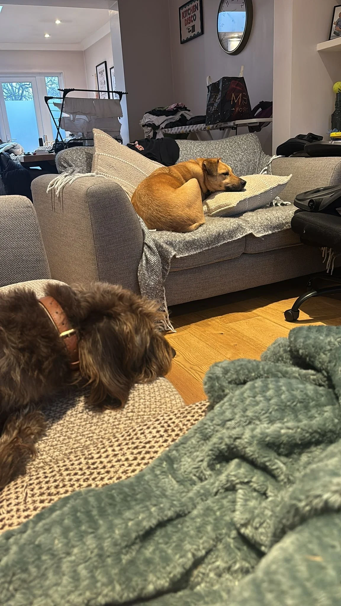 WhatsApp Image 2026-02-03 at 10.33.04.jpeg