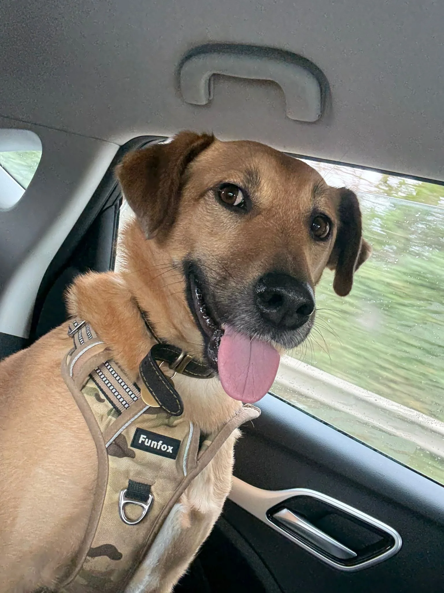 WhatsApp Image 2026-02-11 at 15.04.24.jpeg