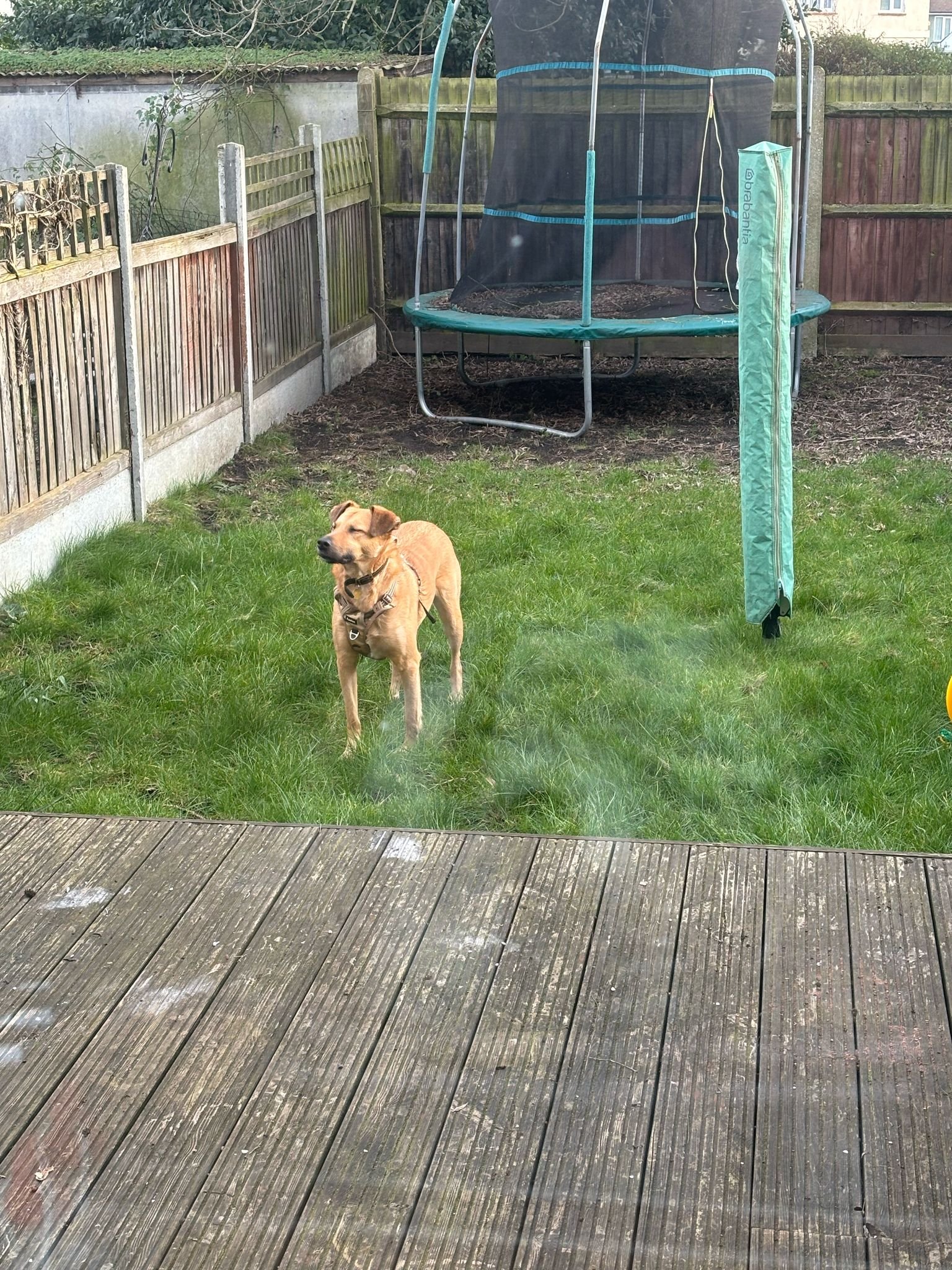 WhatsApp Image 2026-02-04 at 15.17.38.jpeg