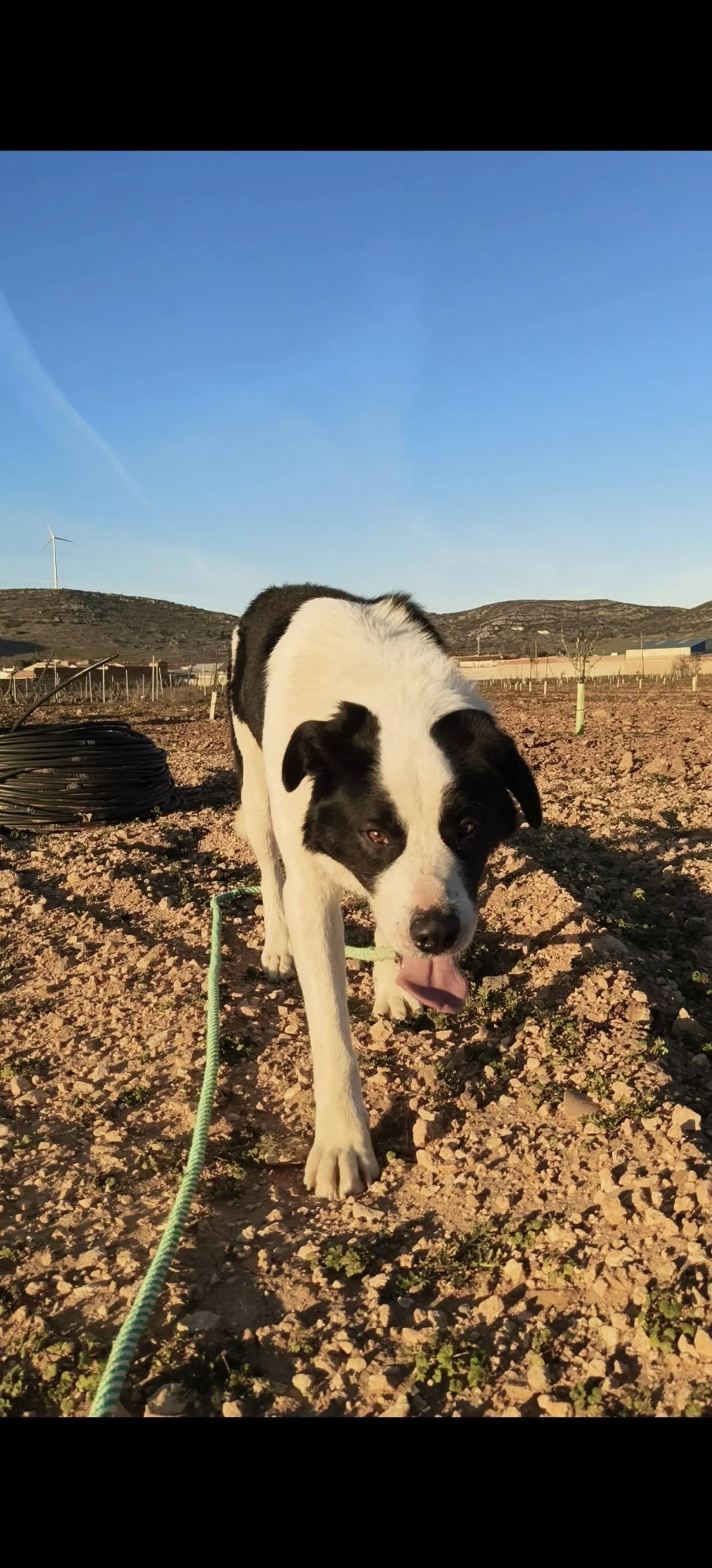 641419536_3697787967051418_2786378005599012024_n (1).jpg