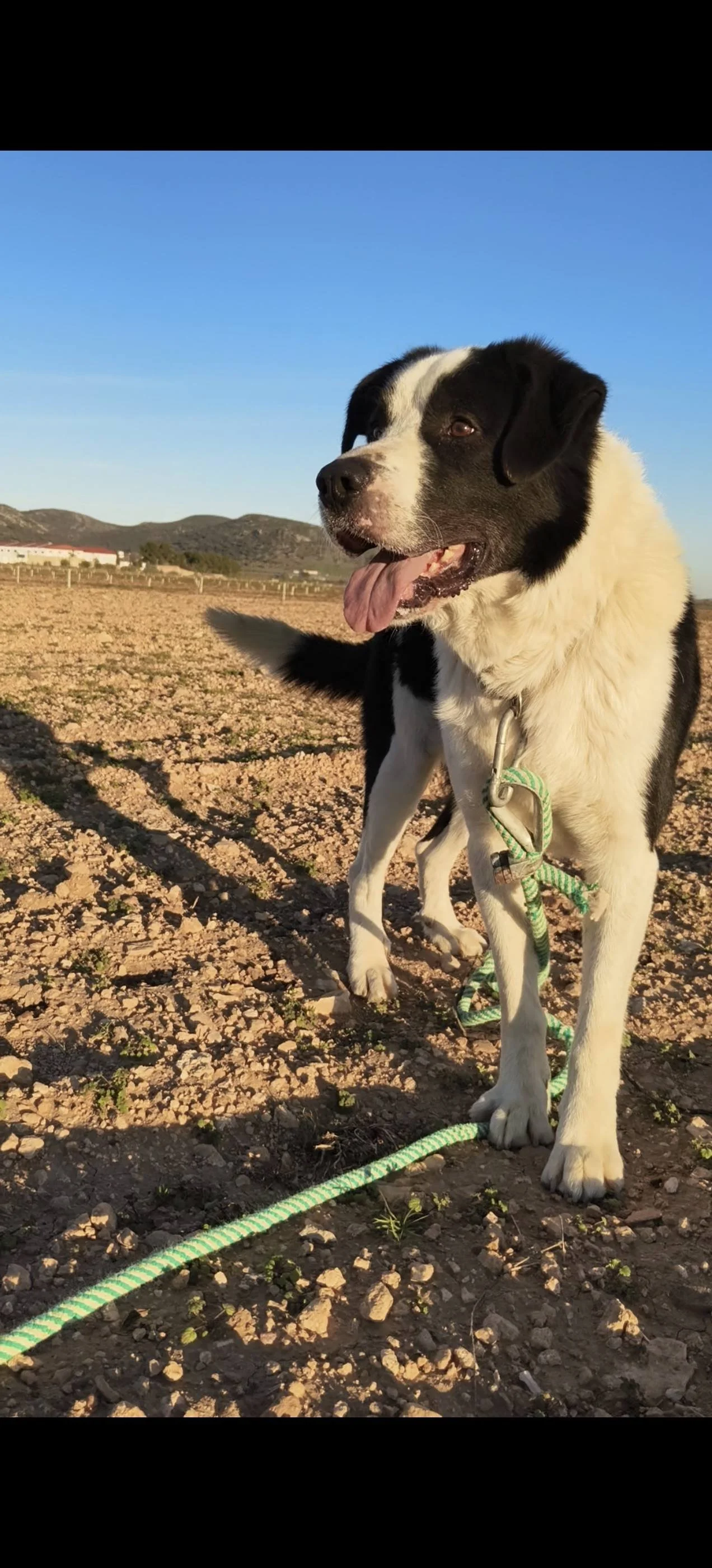 641468065_3697787920384756_3795741226471237283_n (2).jpg