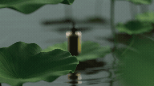 Serum dropper among lily pads, Prose scalp serum CGI launch film by DissEmbargo