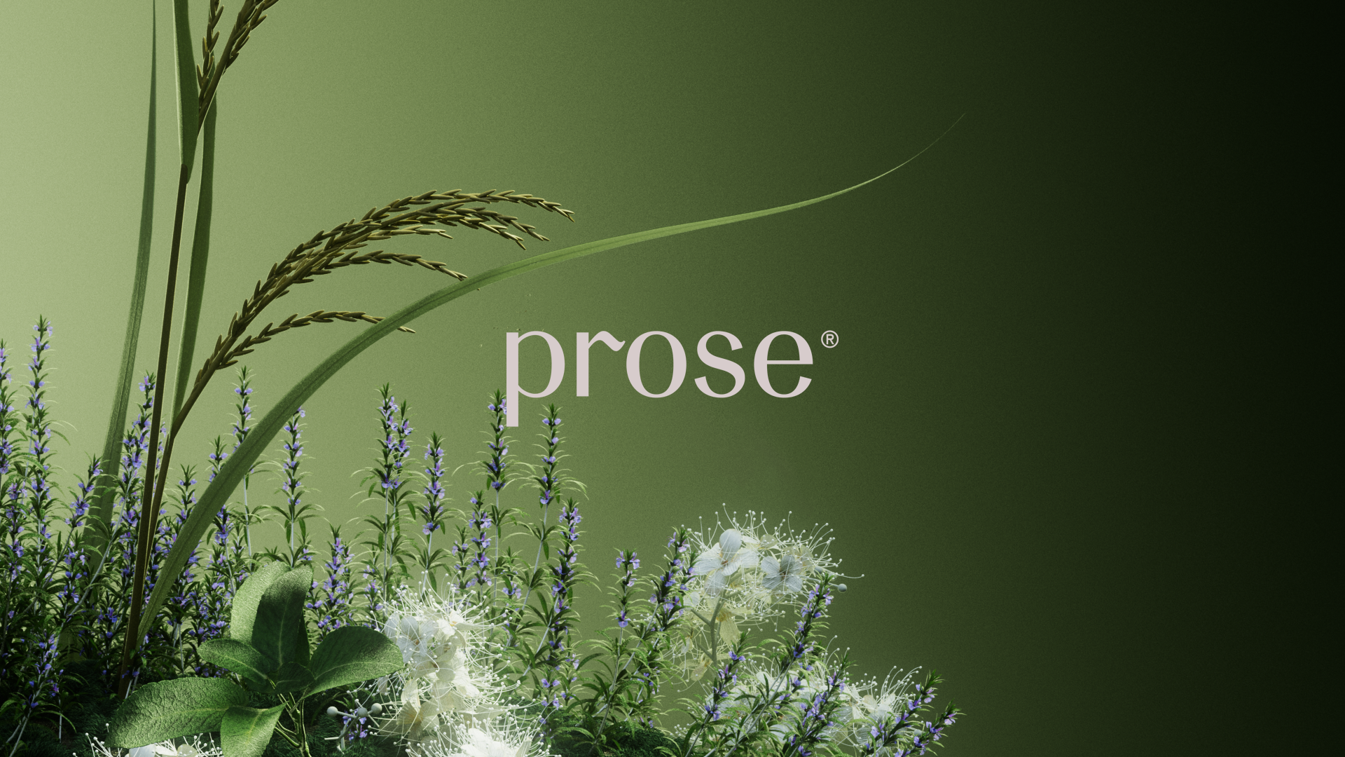 Prose logo with grasses, Prose scalp serum CGI launch film by DissEmbargo