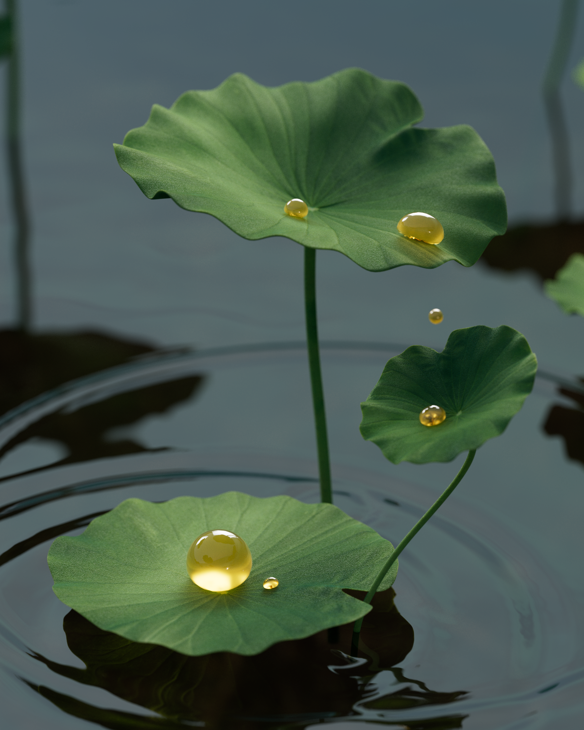 Lily pads with golden droplets, Prose scalp serum CGI launch film by DissEmbargo
