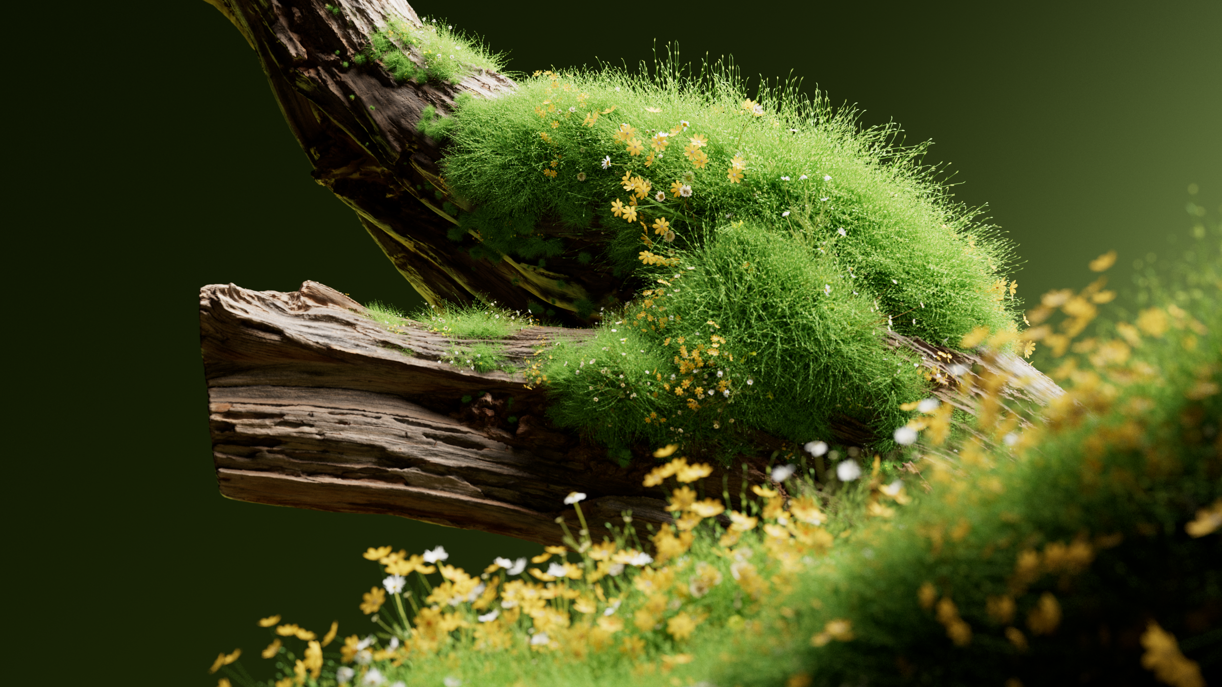 Moss growing over a branch, Prose scalp serum CGI launch film by DissEmbargo