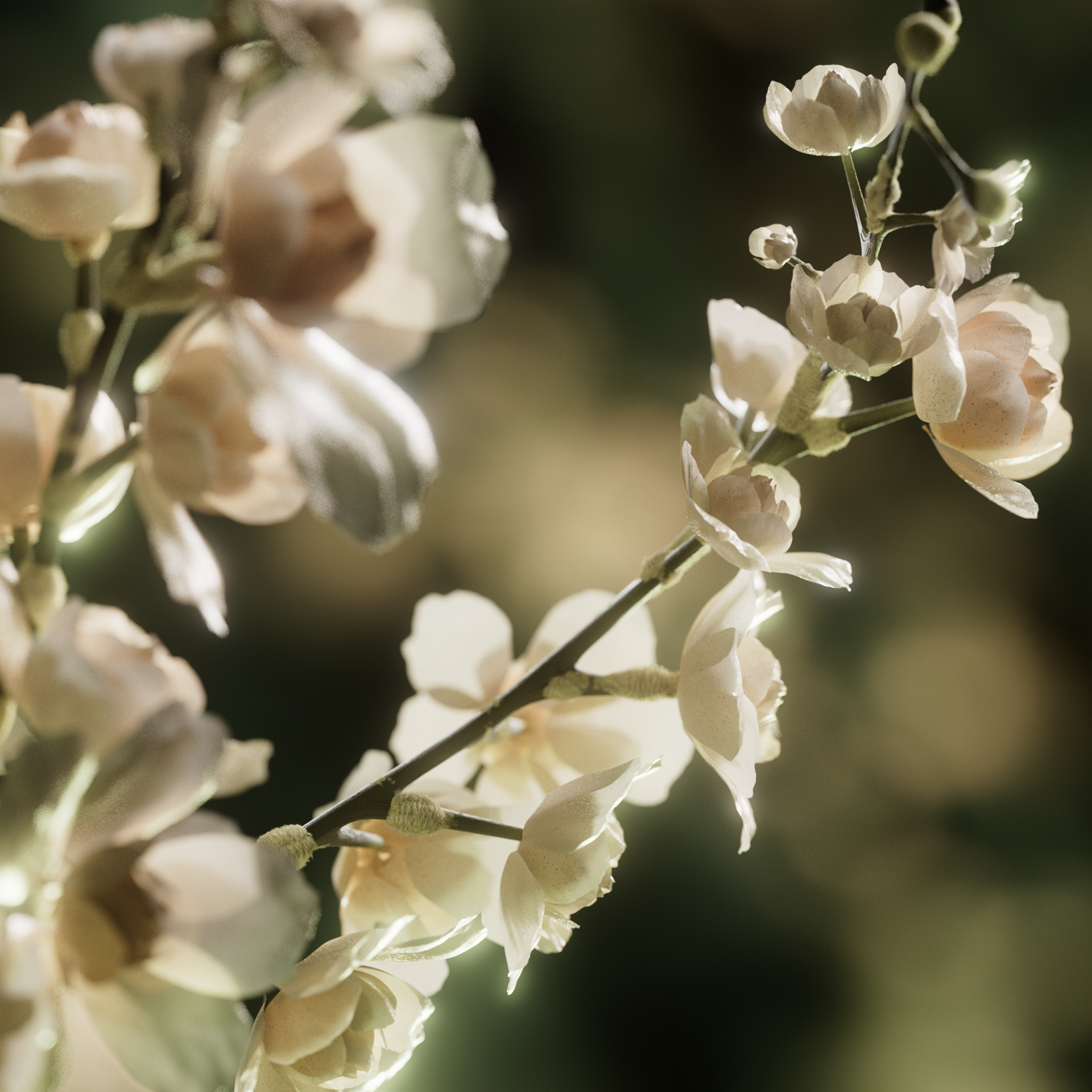 Pale blossom on branches, Prose scalp serum CGI launch film by DissEmbargo