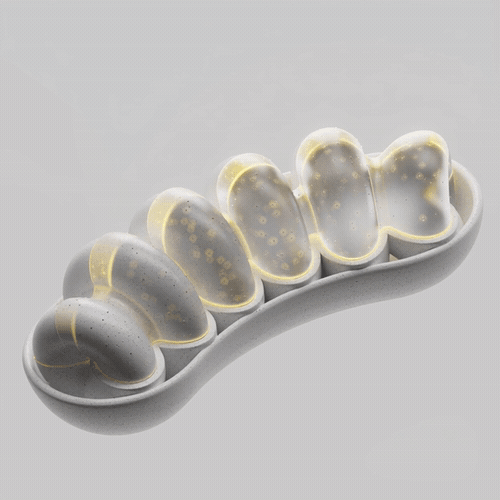 Mitochondria-inspired sculpted form, Timeline Cure CGI animation by DissEmbargo for Timeline Nutrition