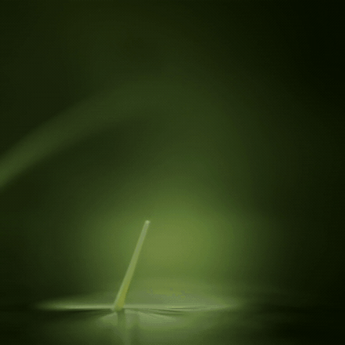 Green tendrils growing, Prose scalp serum CGI launch film by DissEmbargo