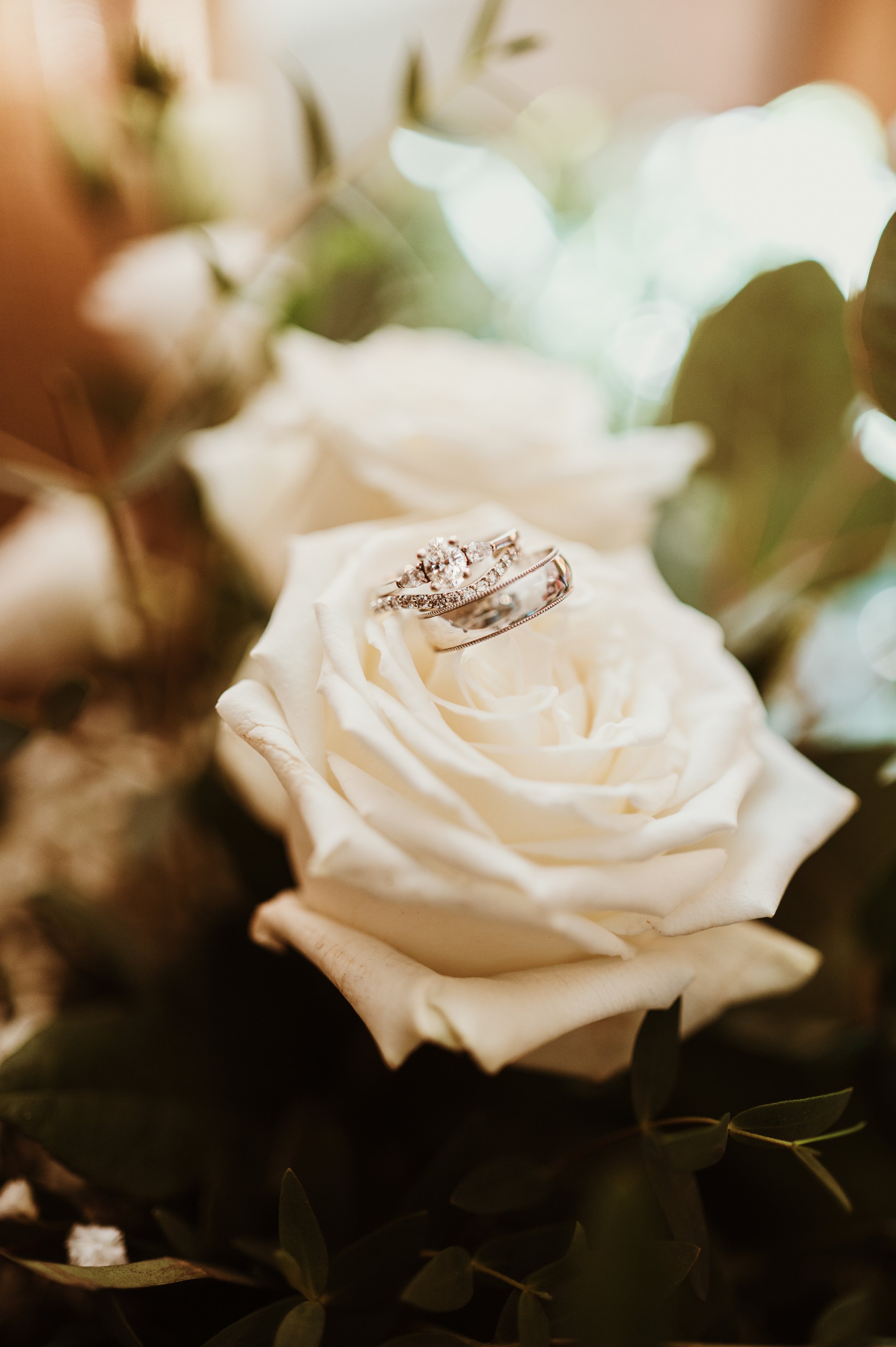 Ashley Lewis Co Photography _ Emily + Drayton Wedding October 2023-04.jpg