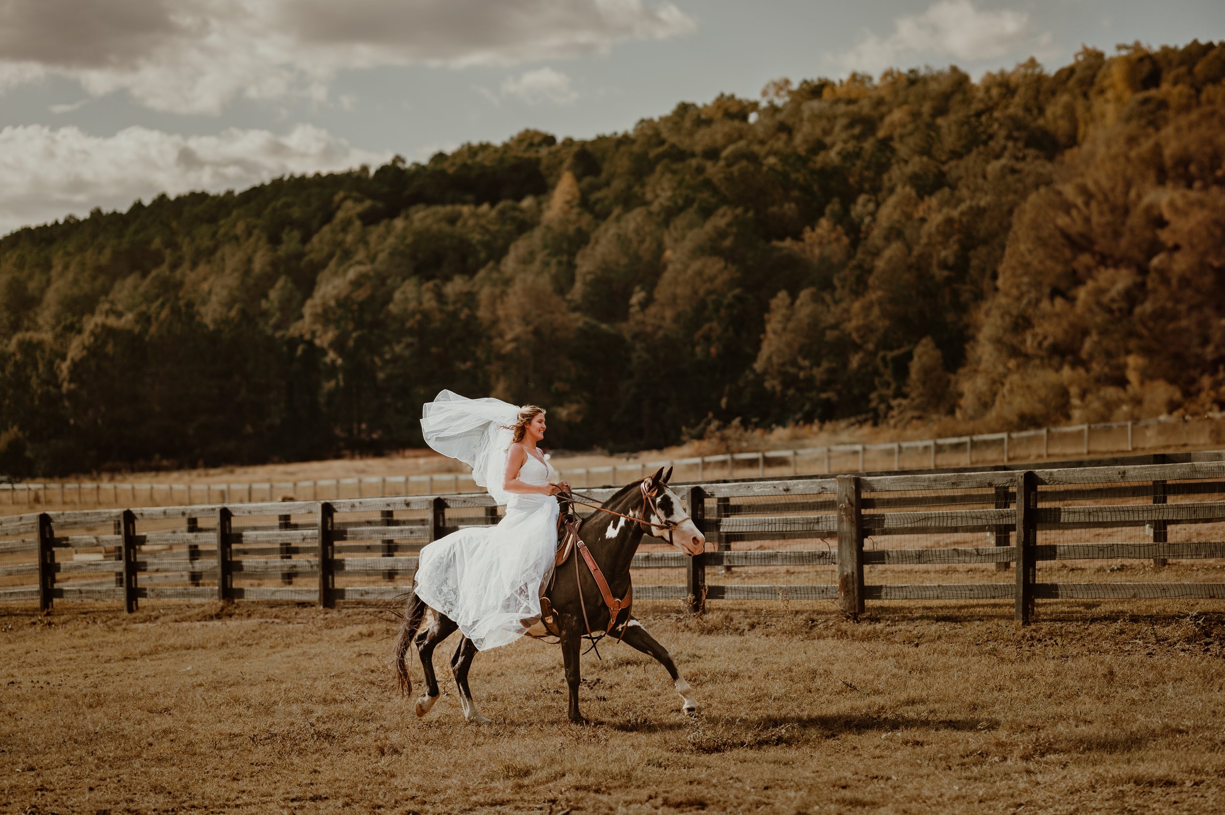 Ashley Lewis Co Photography _ Emily + Drayton Wedding October 2023-223.jpg