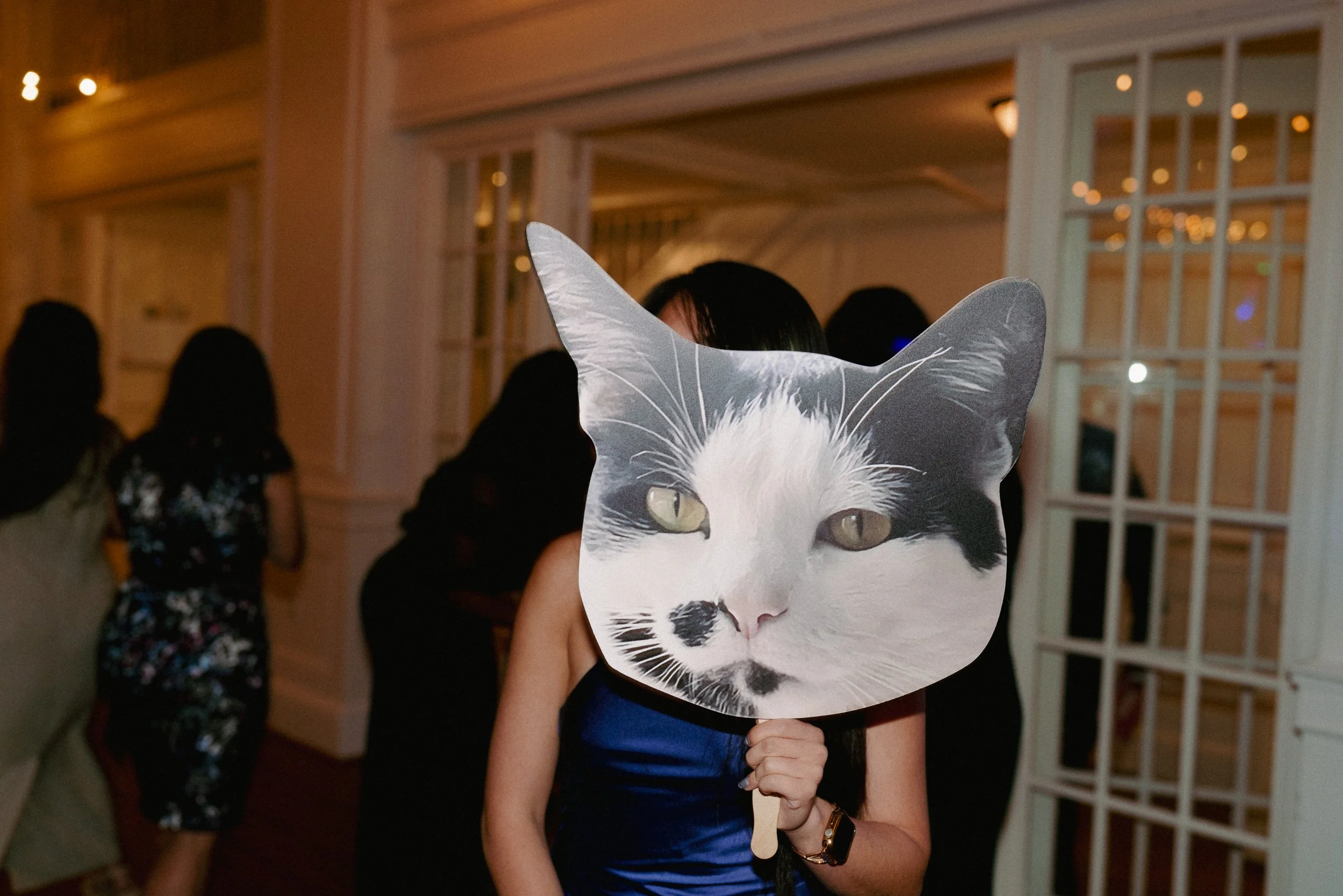 fun cat head cut out