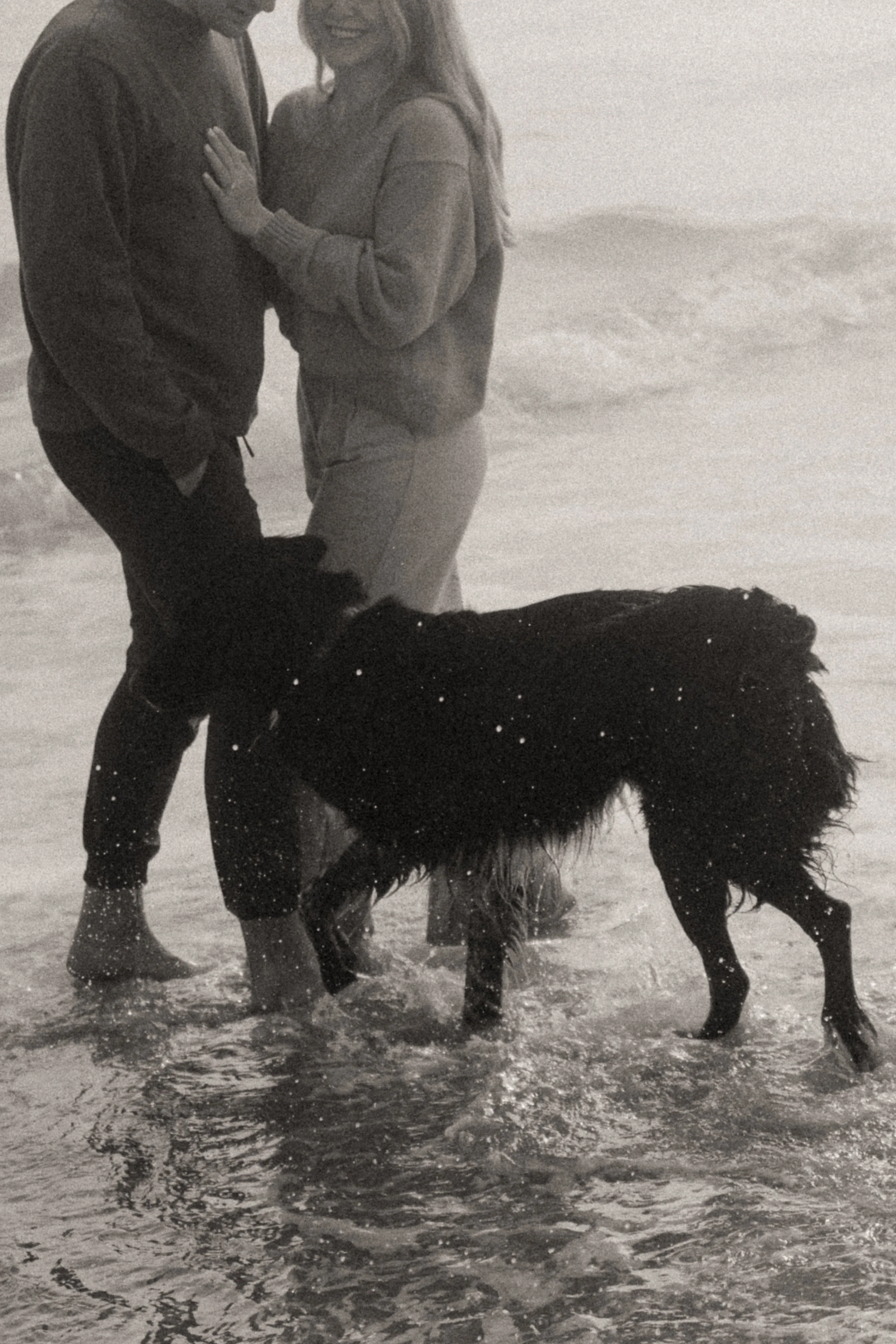 shaking off the salt water