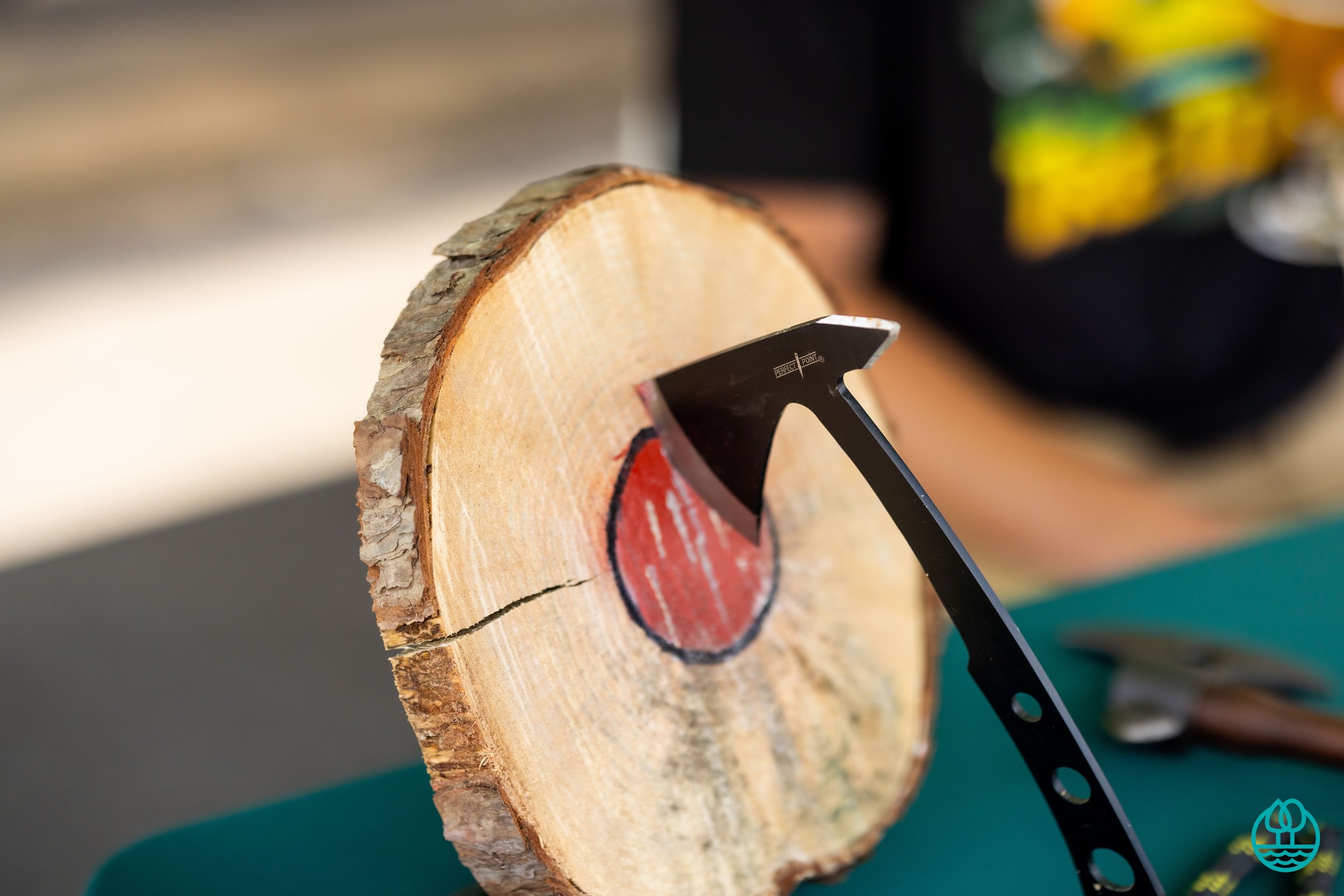 06.04.23RIMBYFestival43.jpg
