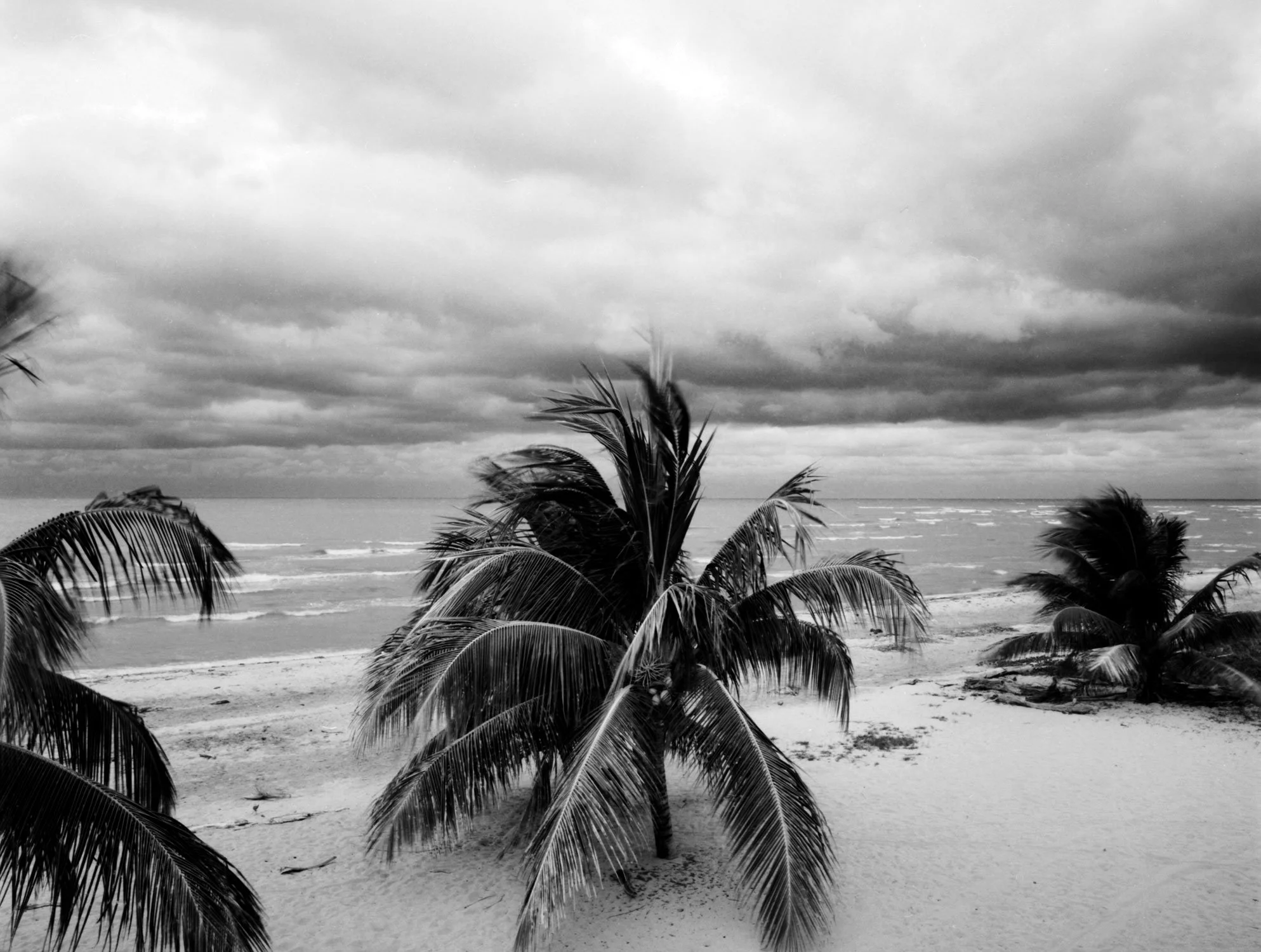 Landscapes-Dangria-Beach-Belize.jpg