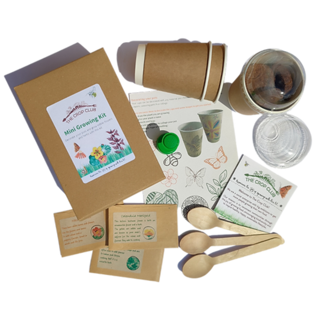 Min Growing Kit - Decorate Your Cups