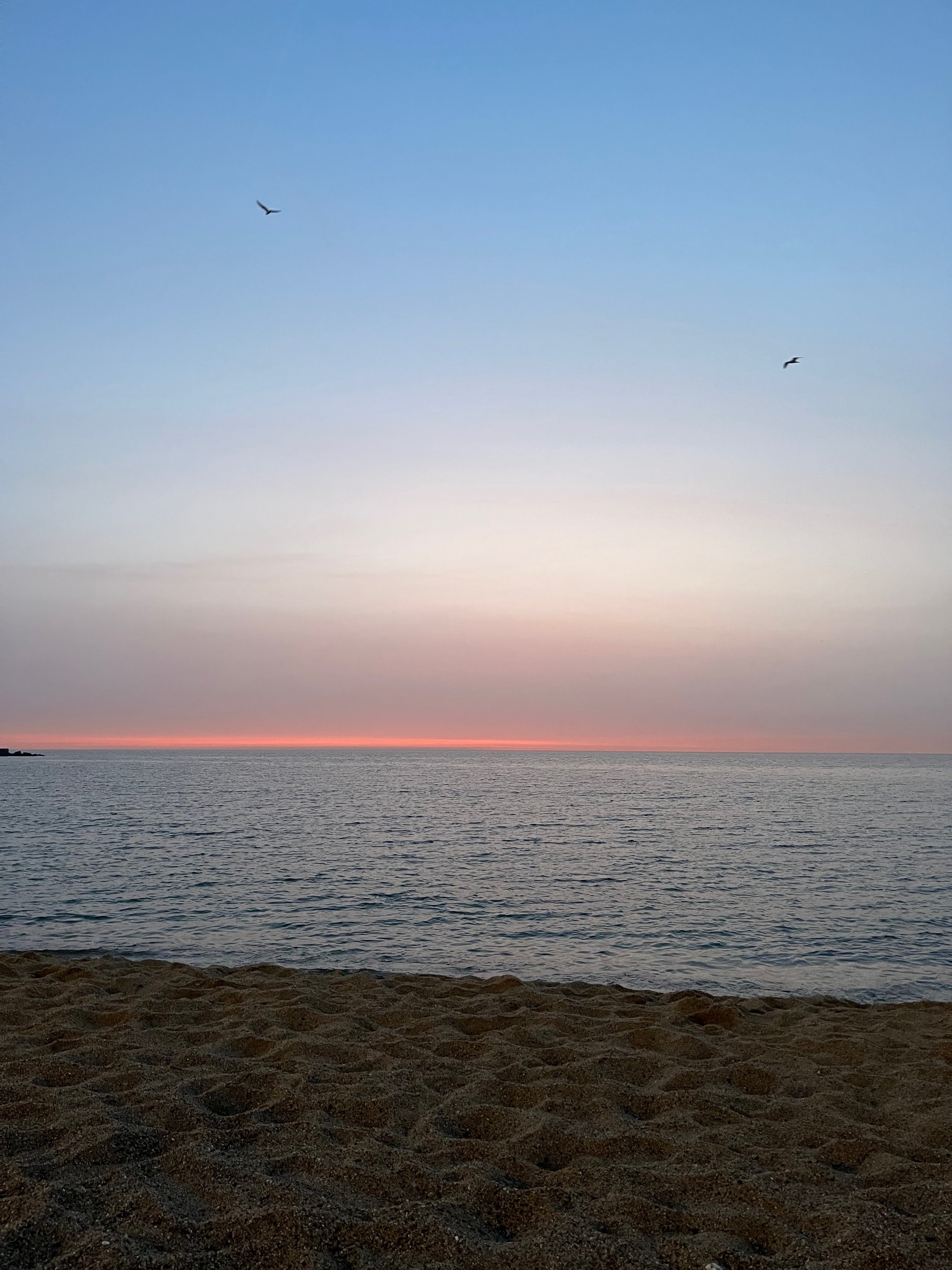 IMG_4789.jpeg