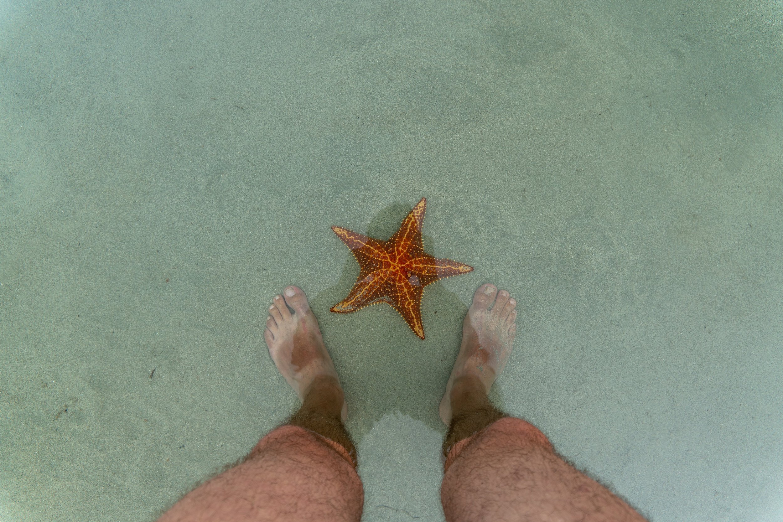 AdobeStock_344215084.jpeg