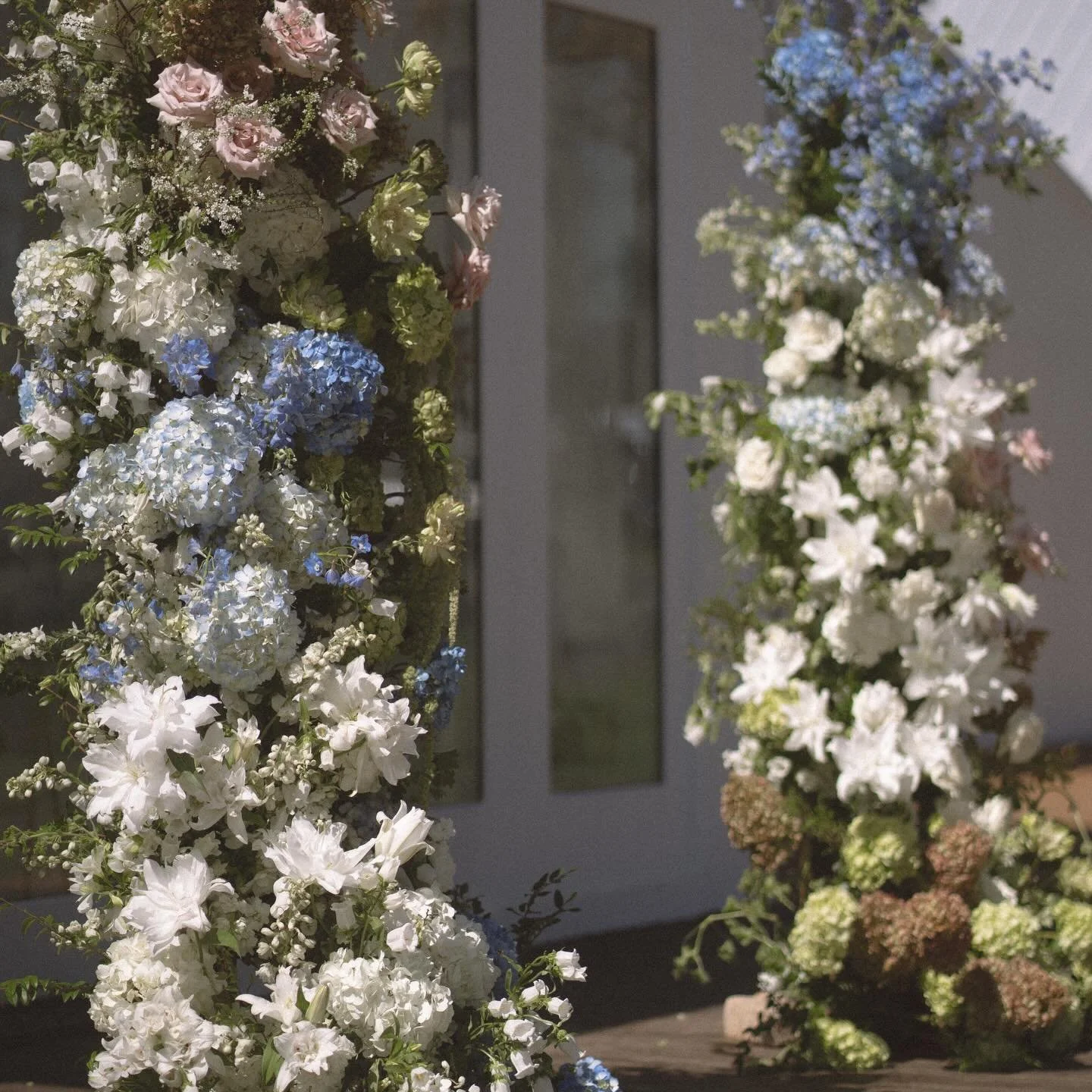 Happy first day of spring🧚🏻 my favorite season to flower in