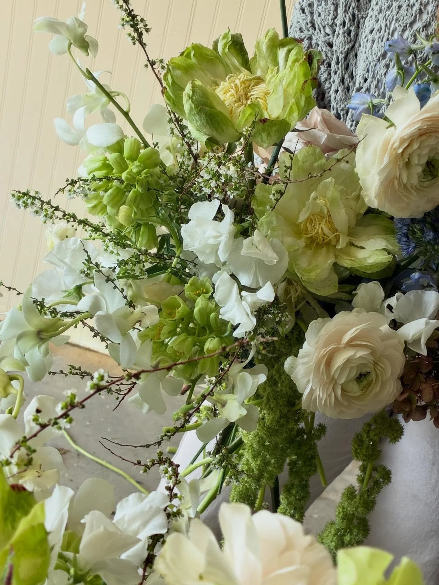 Flower photo dump from my camera roll🥰