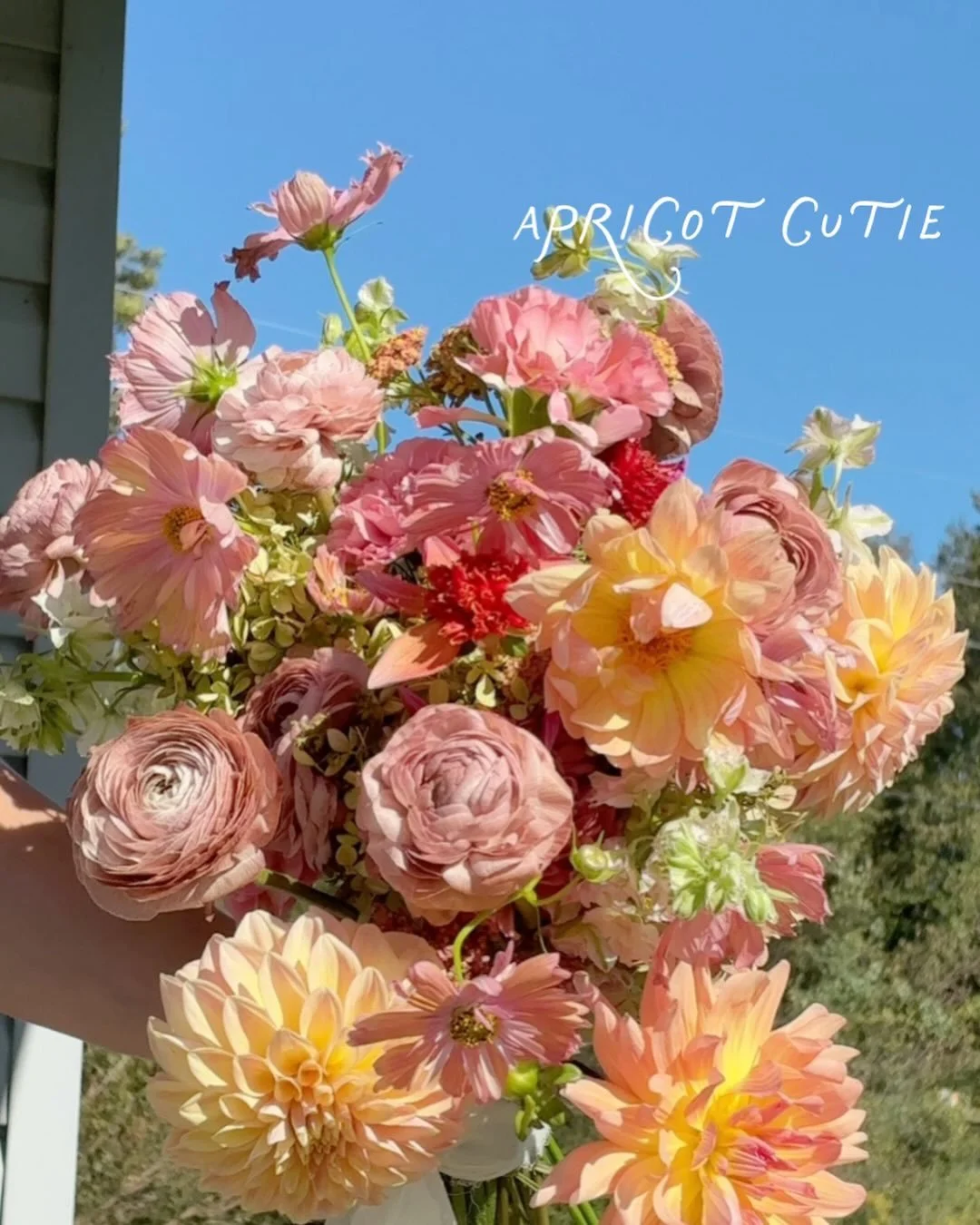 All bouquets with their own little personalities🥰 which one is your favorite?