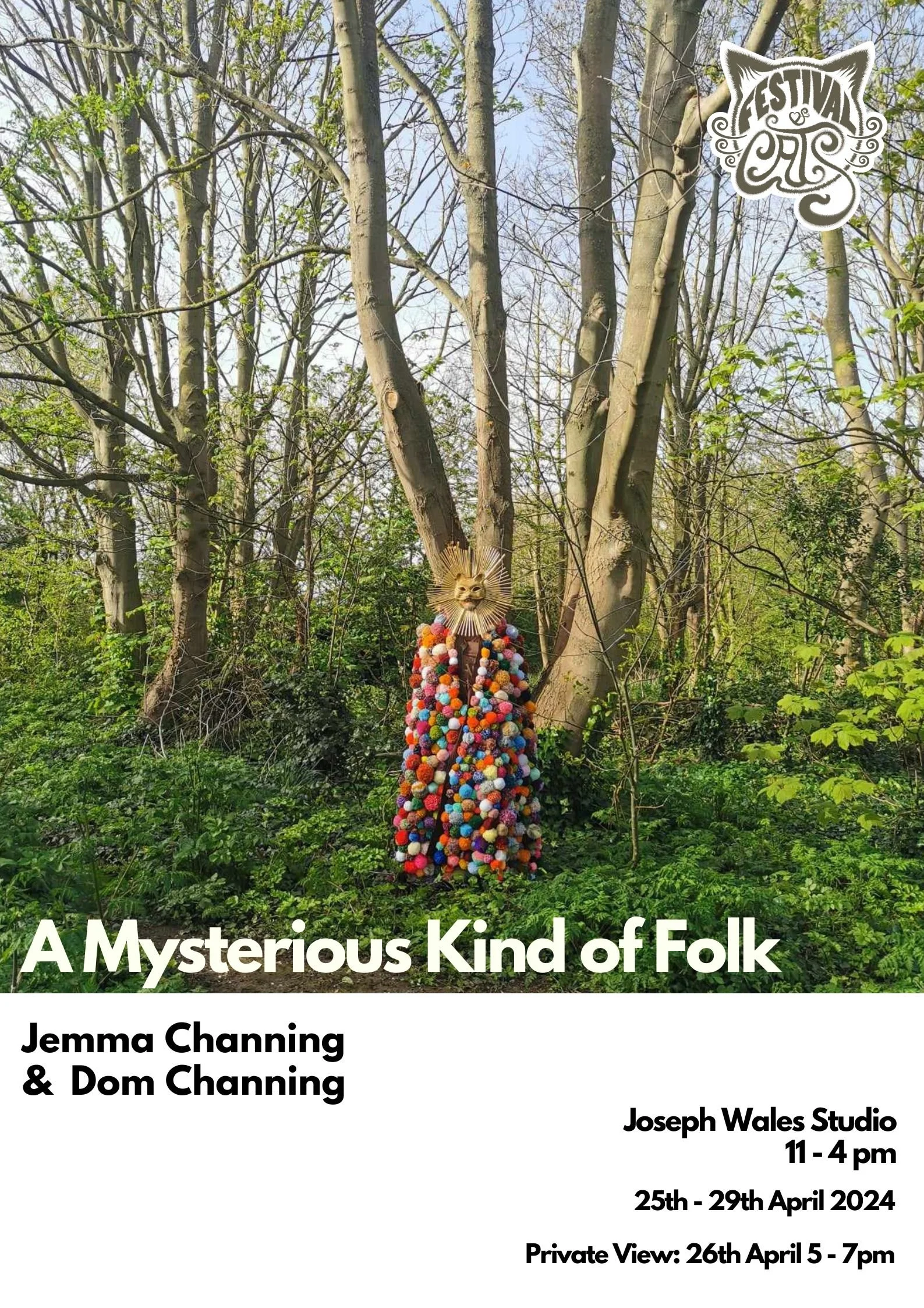 A Mysterious Kind of Folk by Jemma Channing and Dominic Channing