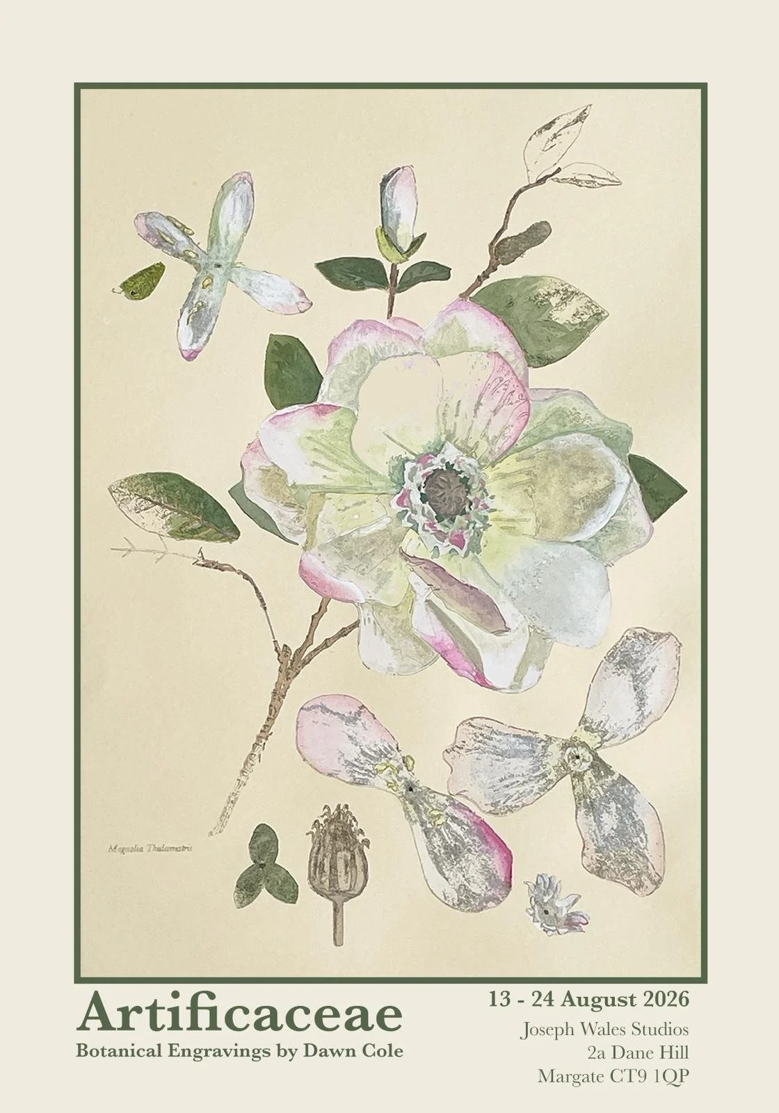 Artificaceae