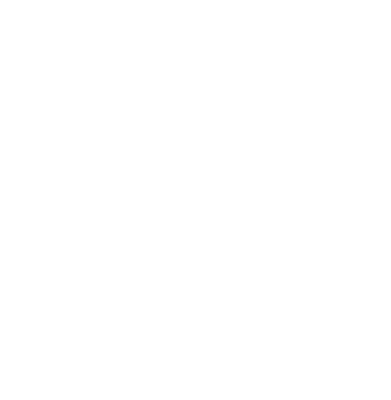 Noble Voyage Chauffeure